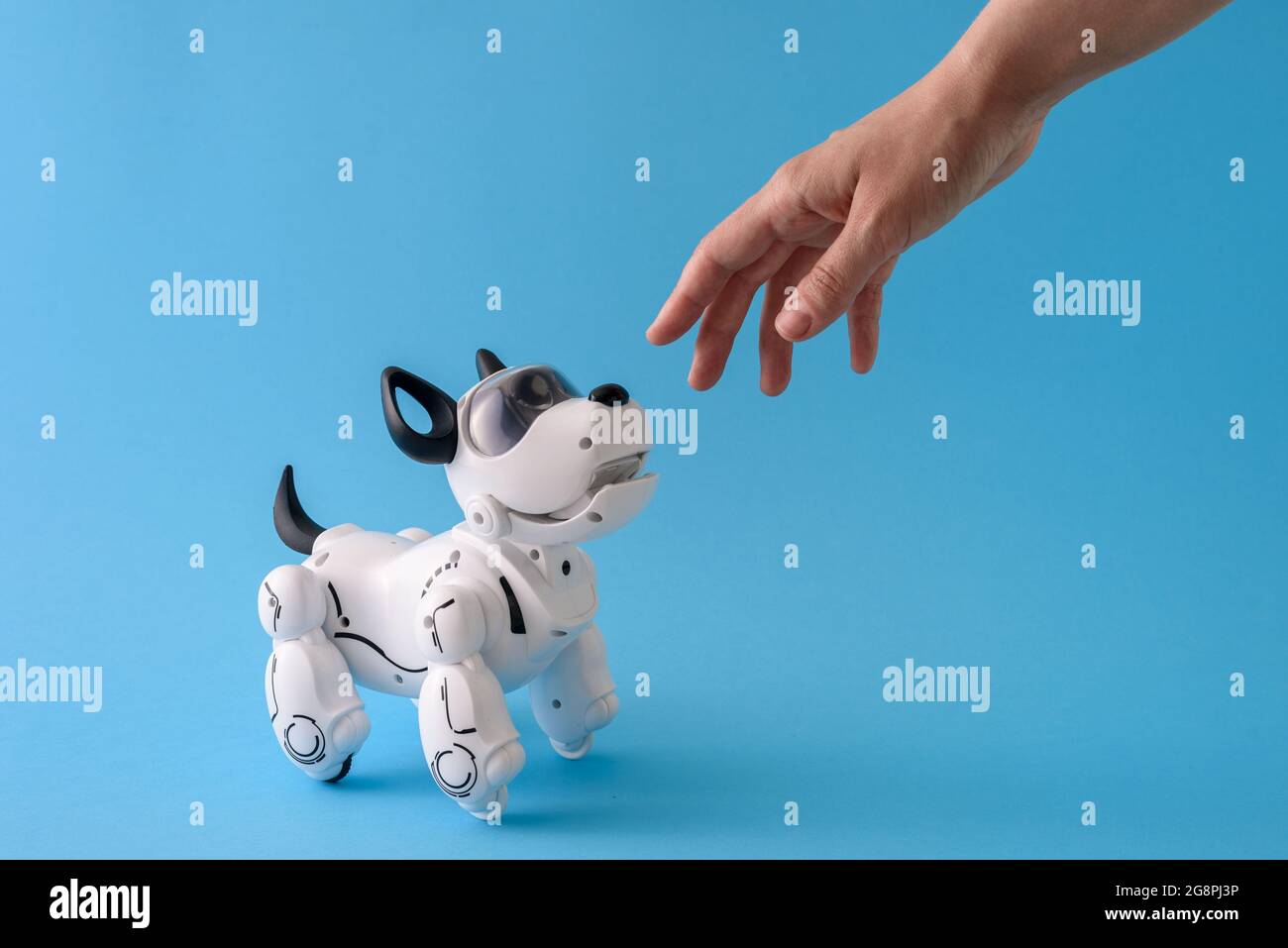 Robot dog pet on light blue background with human hand Stock Photo