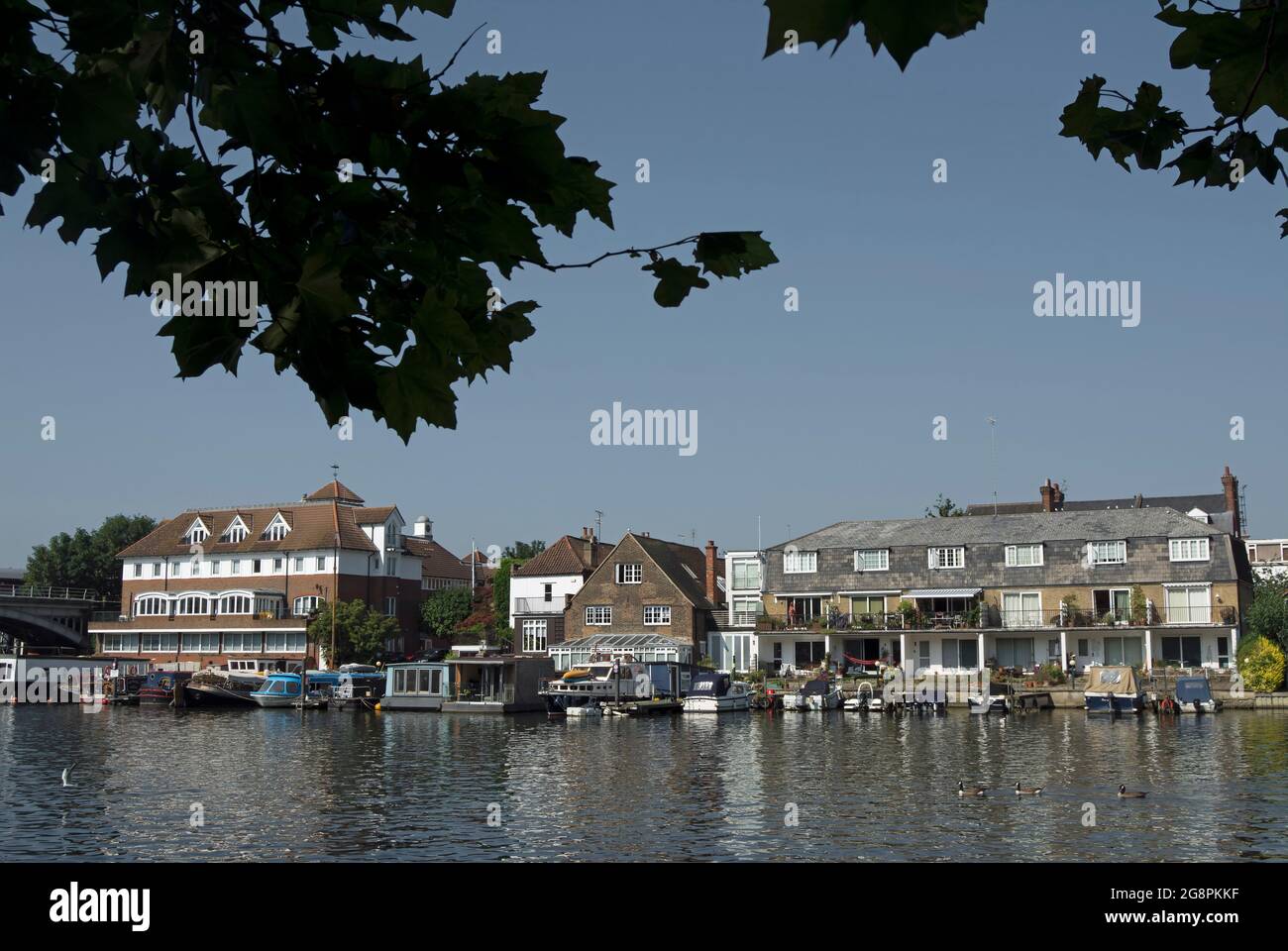 summer view across the river thames from canbury gardens towards the houses and moored boats of hampton wick, southwest london, england Stock Photo