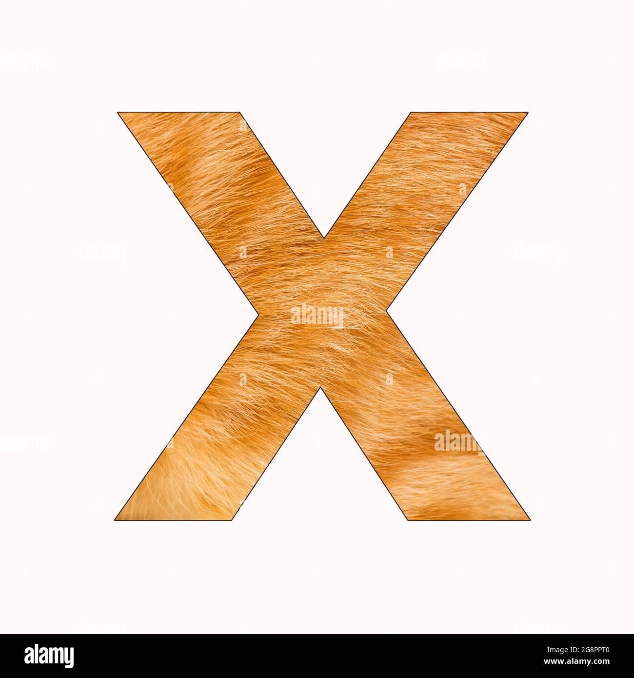 Alphabet Letter X - Cat Fur Background Stock Photo - Alamy