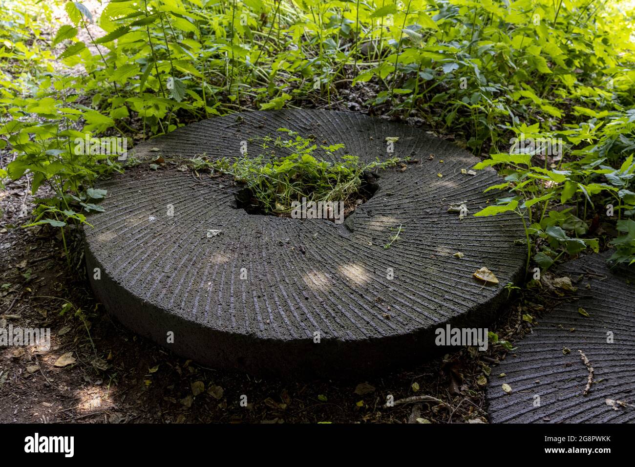 Stone Mill Rocks Large mill stone grinding rock abandoned and overgrown Stock Photo - Alamy