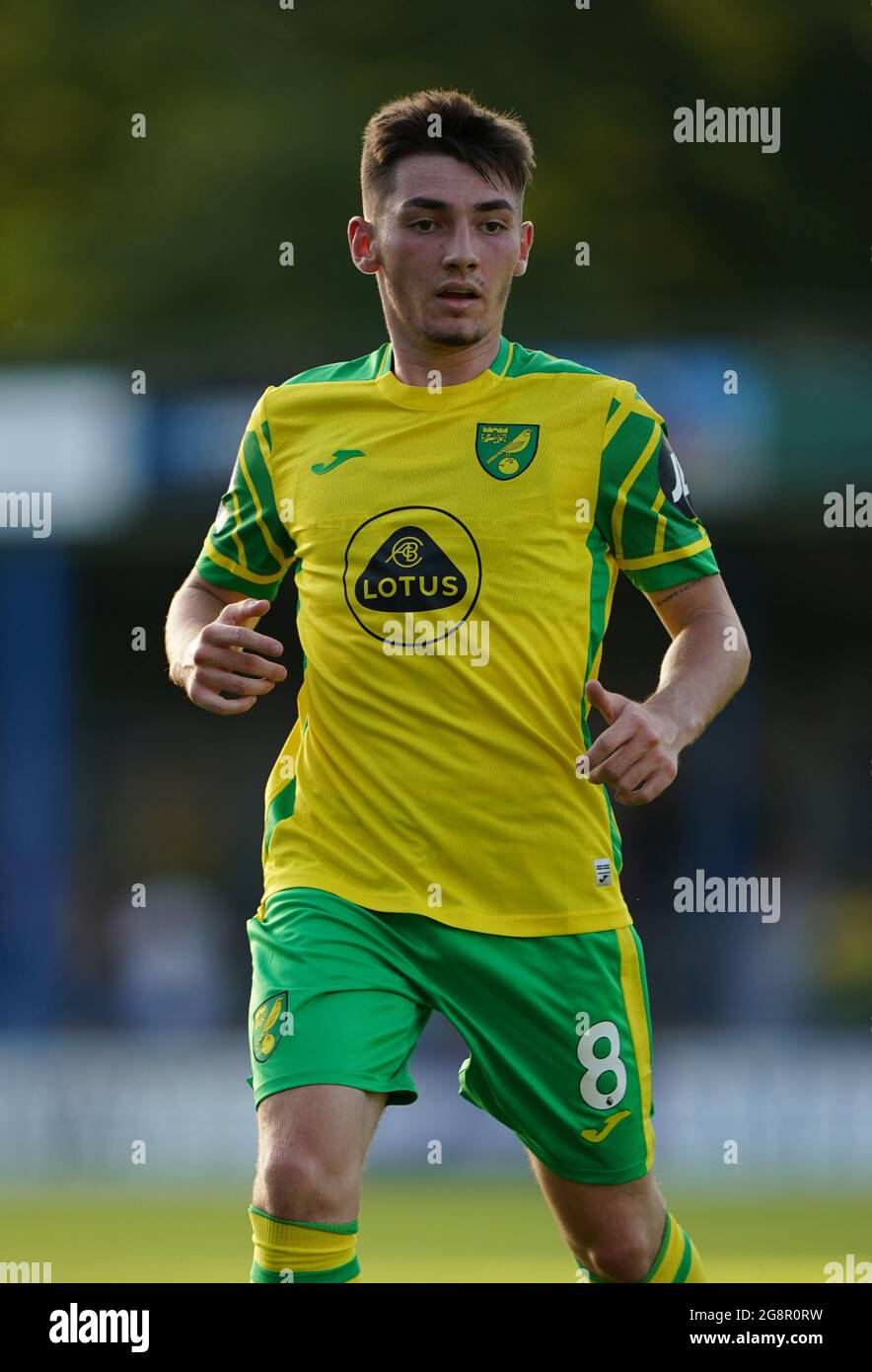 Billy Gilmour, Norwich City Stock Photo Alamy