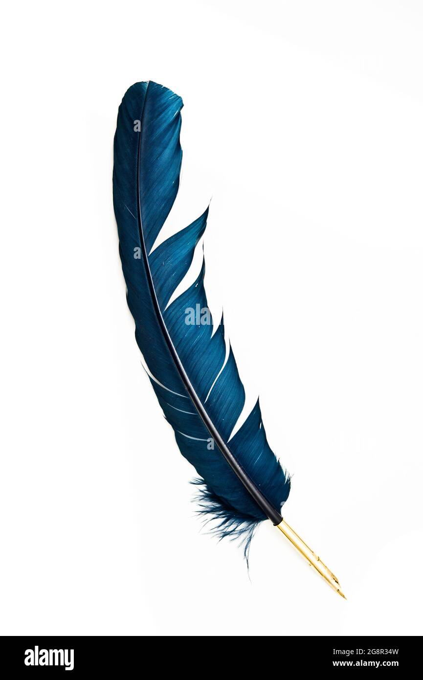 blue quill pen isolated Stock Photo - Alamy