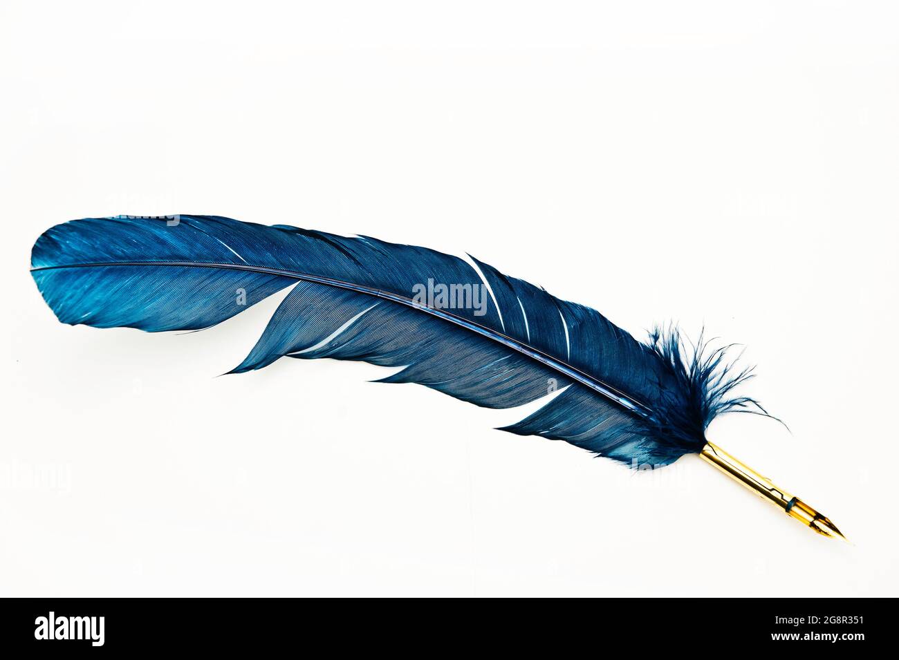 Blue Feather Quill Pen - Hex: Old World Witchery