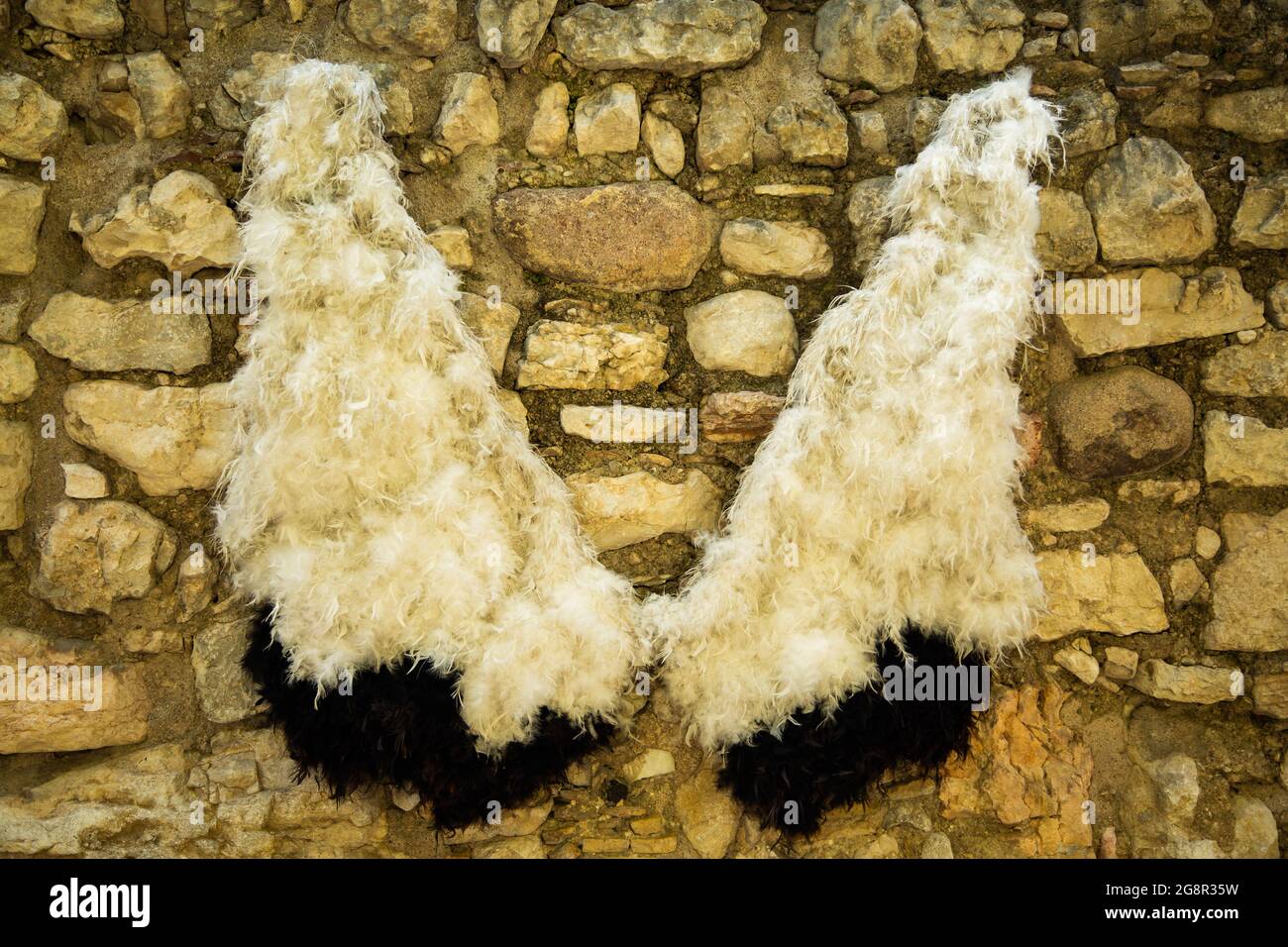 Eagle cartoon style hi-res stock photography and images - Alamy