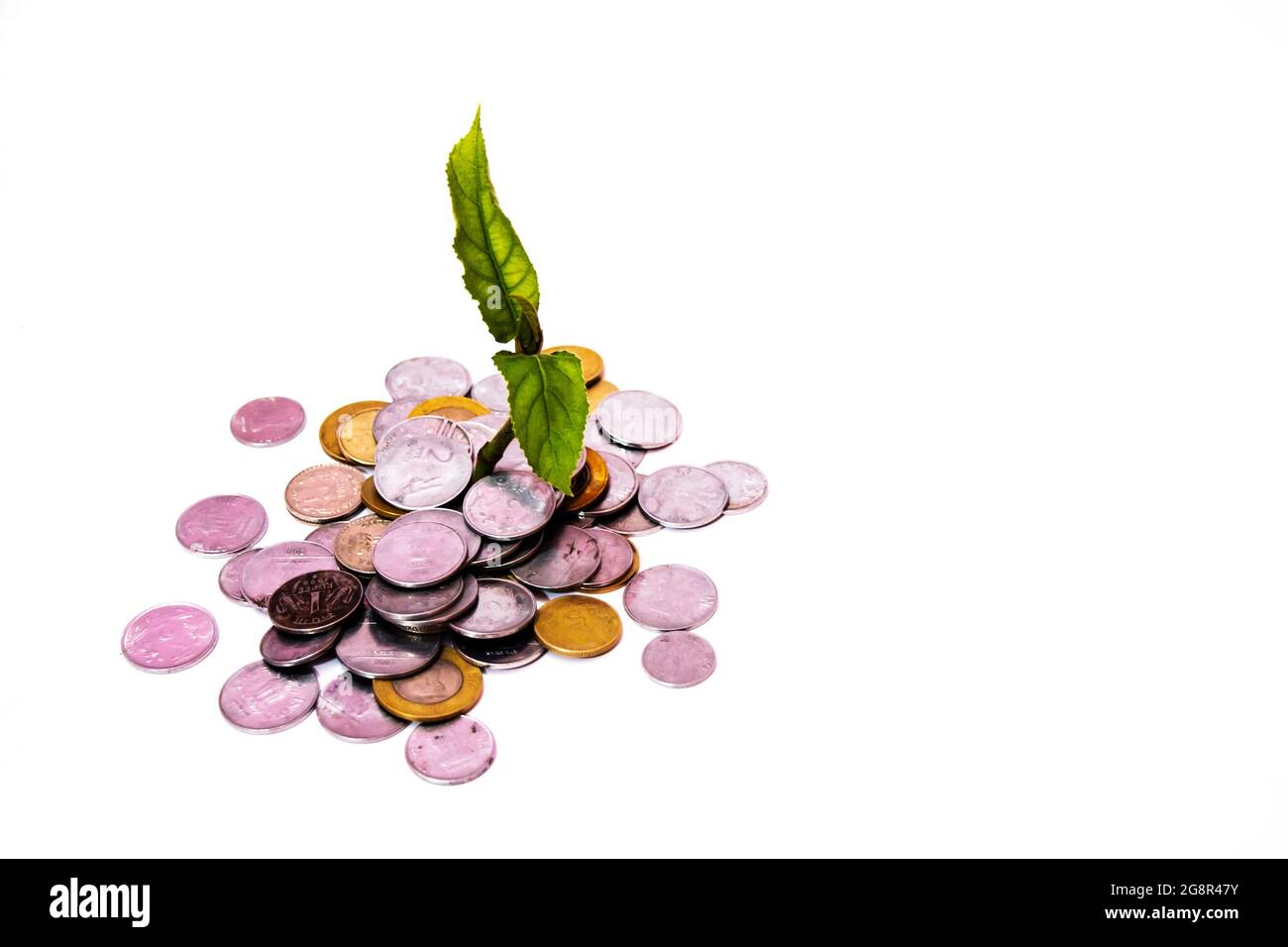 Green plant growth through a stack of Indian coins isolated on white ...