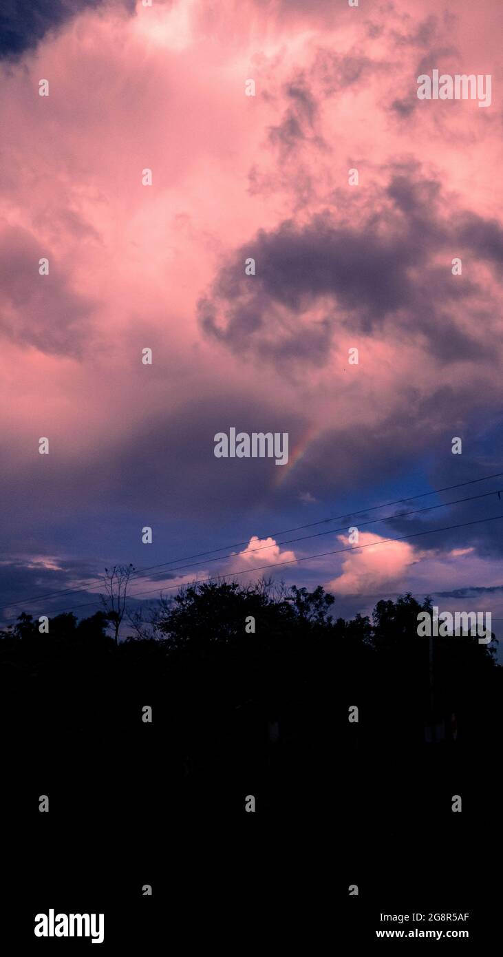 Vertical shot of tree silhouettes under a cloudy sky during the sunset ...
