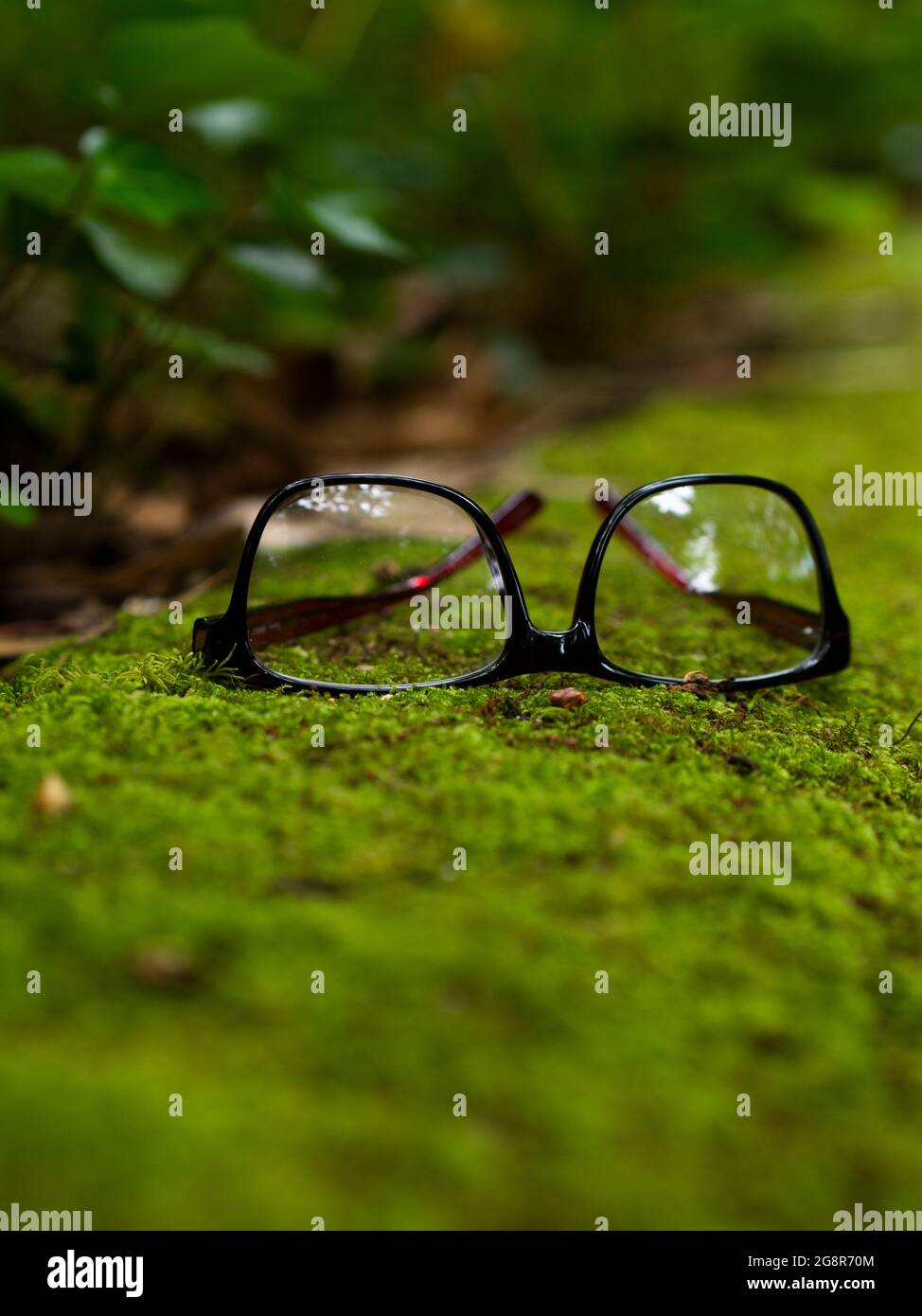 Nerdy eyeglasses for book covers Stock Photo