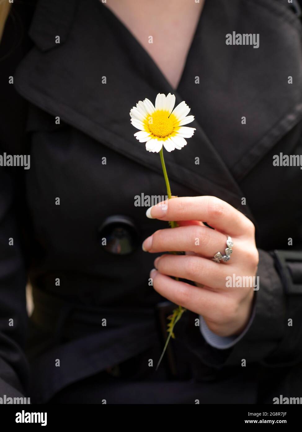 Woman holding a daisy Stock Photo