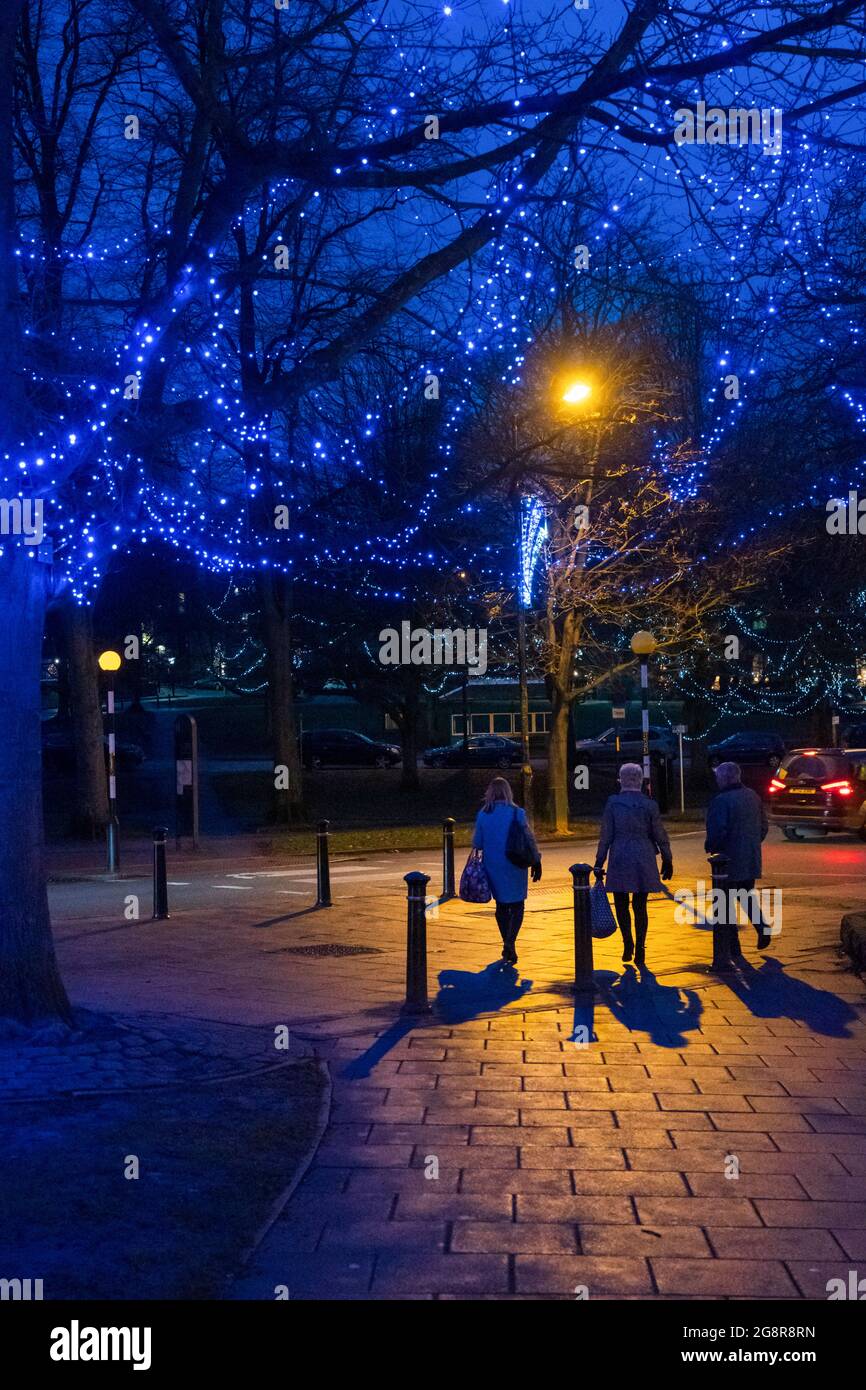 Three shoppers walking under a tree adorned with tiny blue lights at night, Harrogate, North Yorkshire, UK. Stock Photo