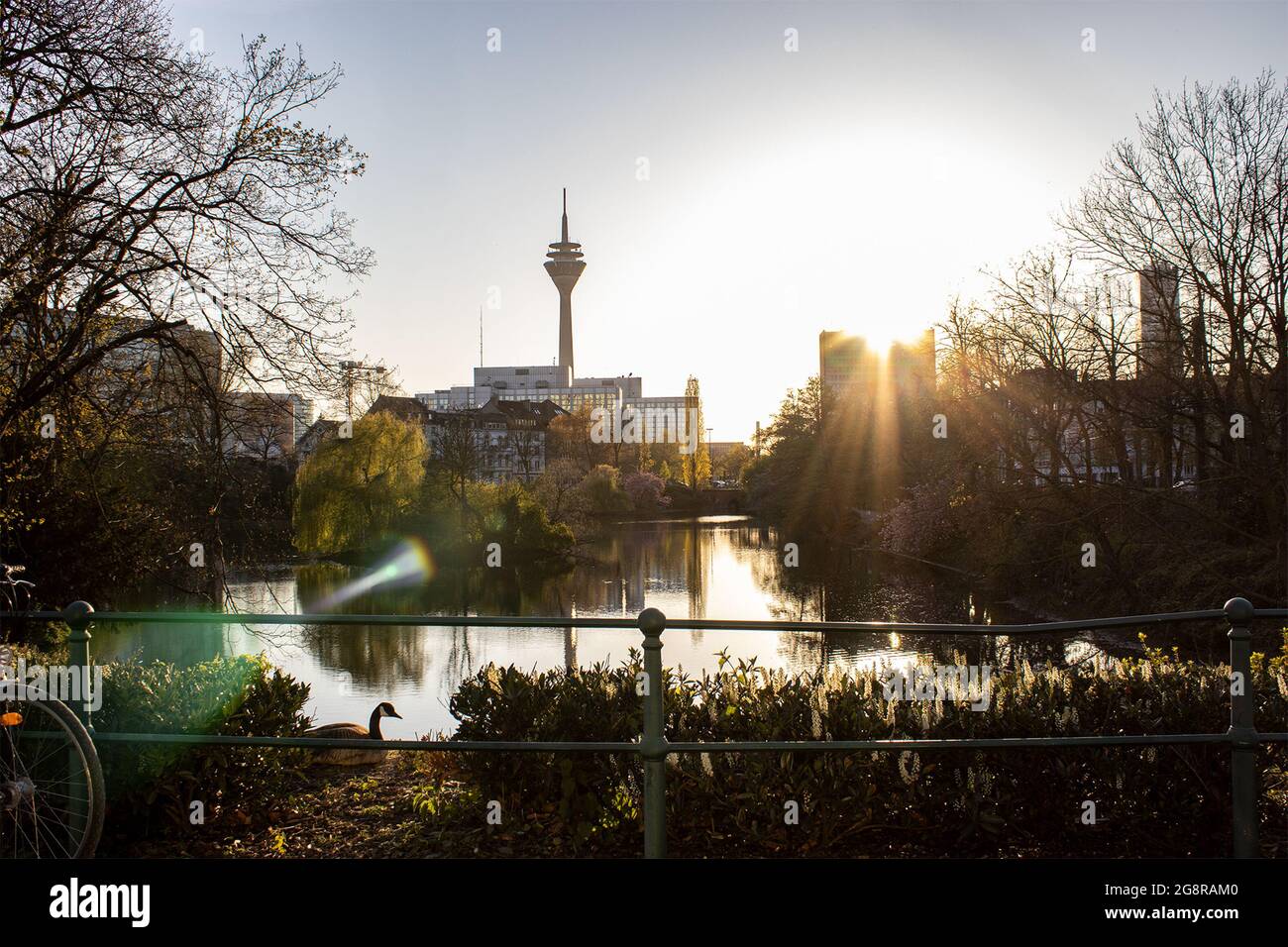 The beautiful Schwanenspiegel Pond of Dusseldorf Stock Photo