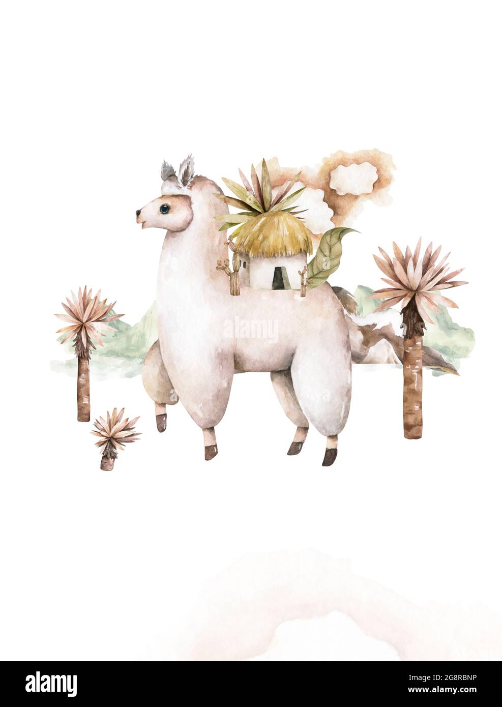 Cute watercolor llama, alpaca illustration isolated on white. Llama ...