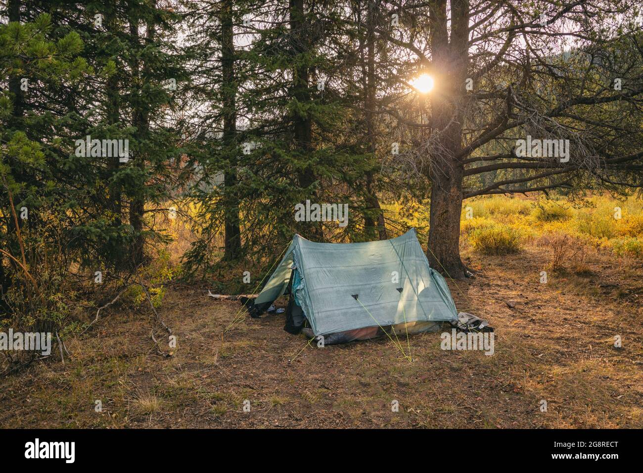 Eagles Nest Campground: Your Gateway to Wilderness Adventure