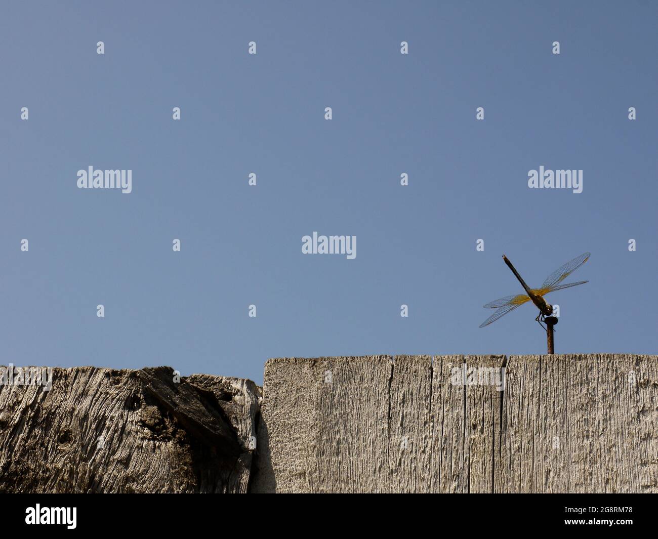 Dragonfly sitting on an old fence against the sky. The concept of ecology, health and Zen lifestyle. Stock Photo