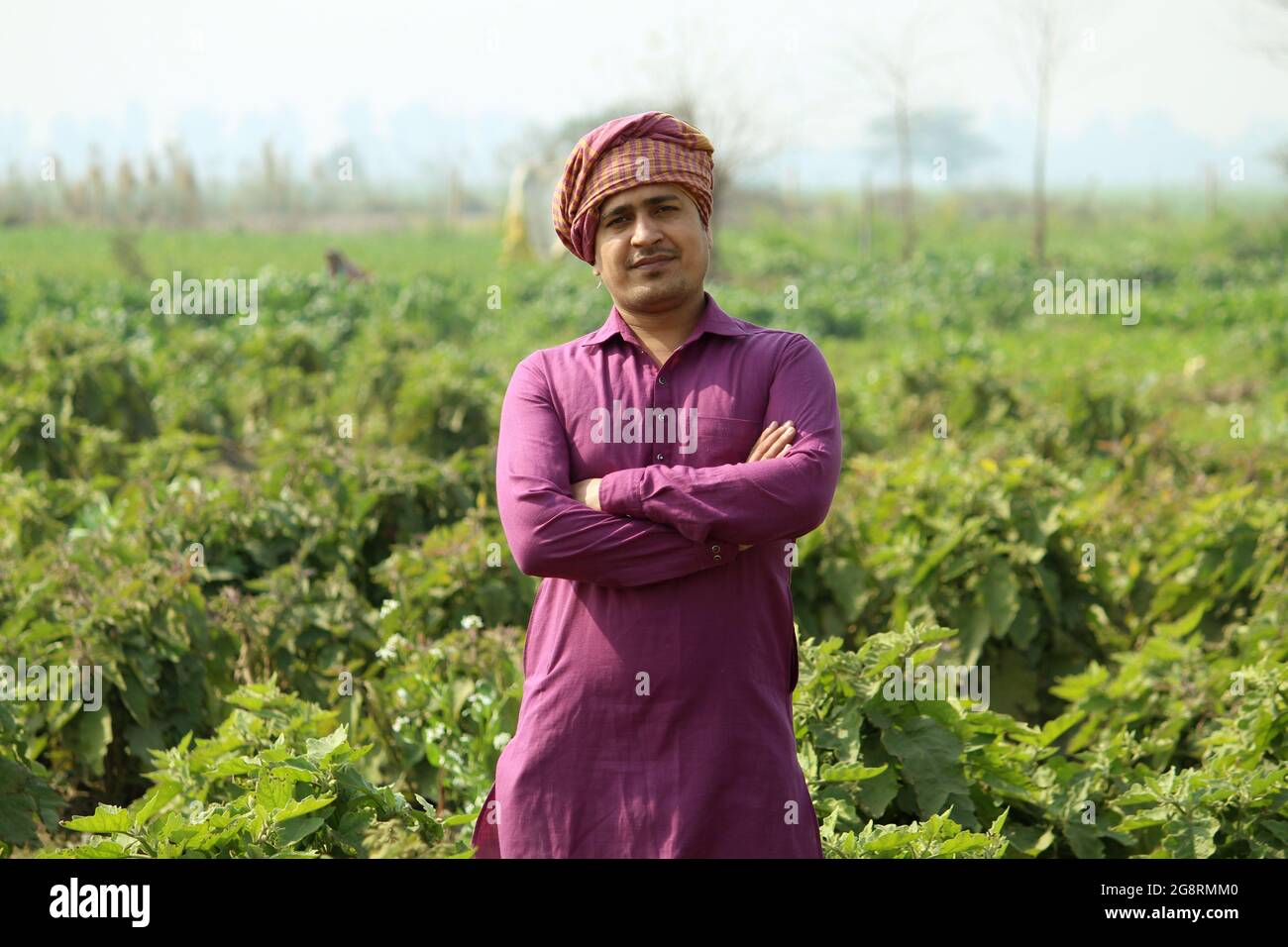 worry less ,indian farmer standing hand folded in his healthy wheat field and smilling Stock Photo