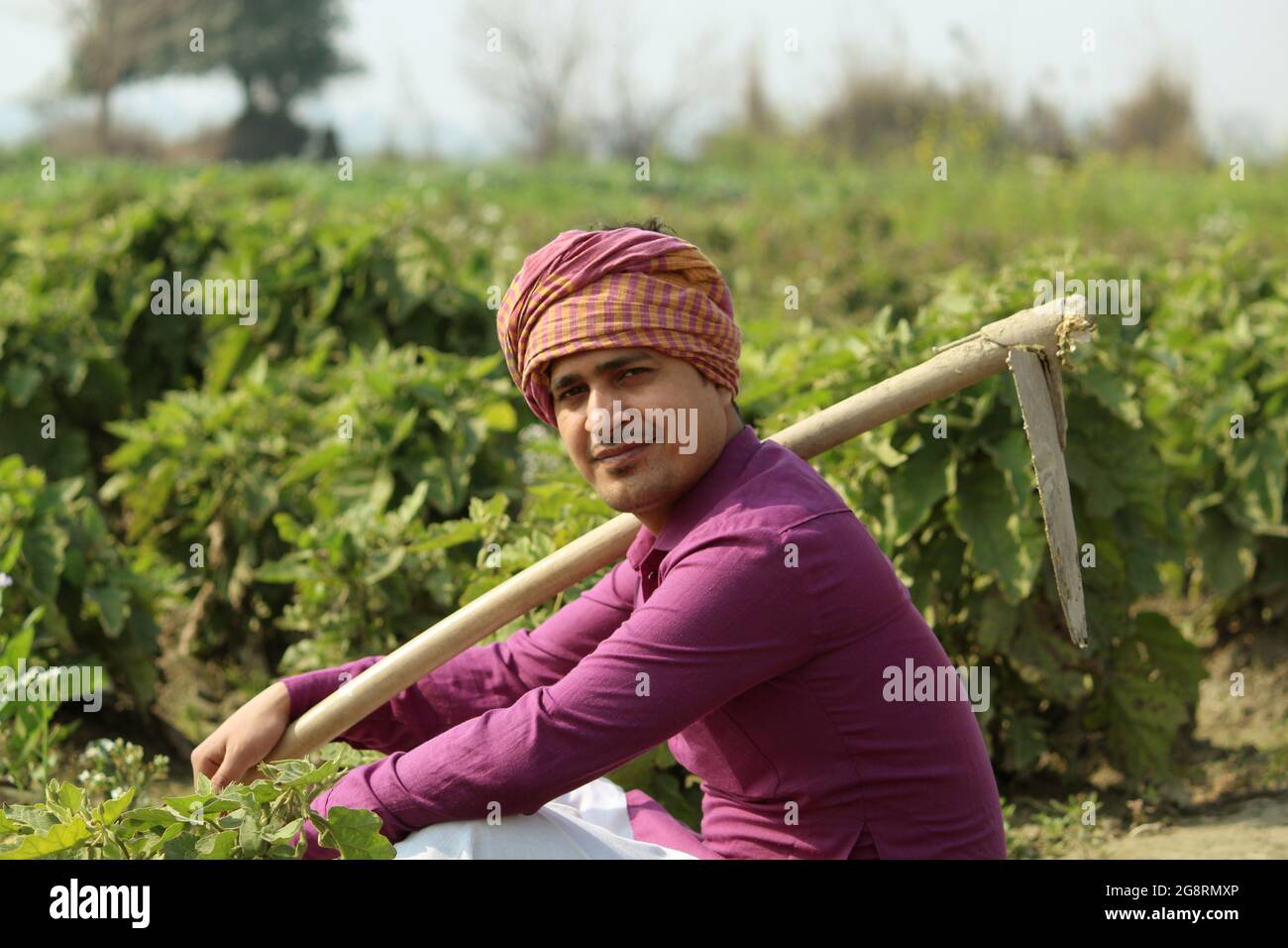 farmer,sitting in agricultural field Stock Photo