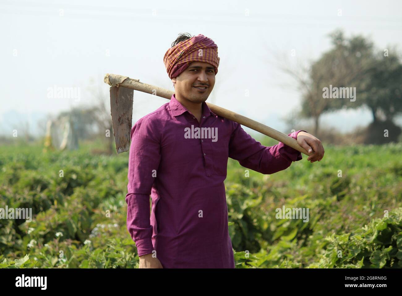 indian farmer standing agricultural field Stock Photo - Alamy