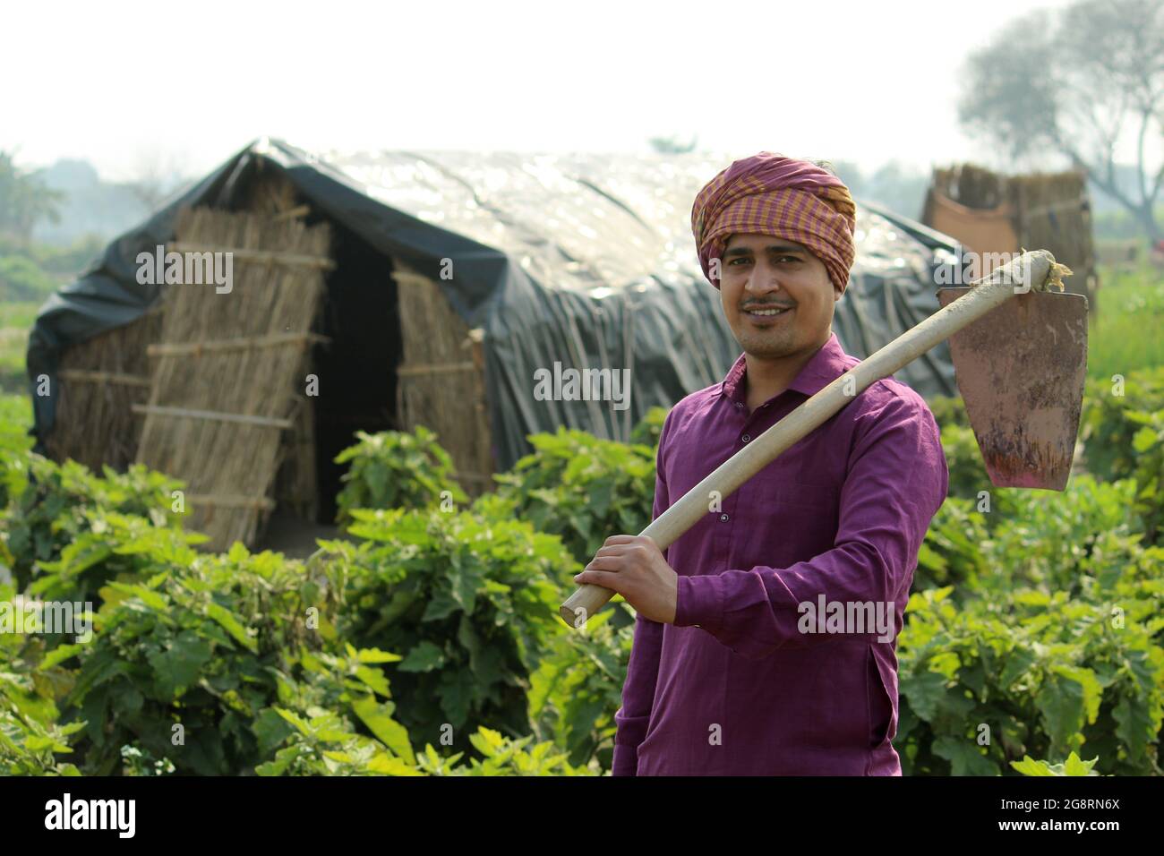 indian farmer standing agricultural field Stock Photo - Alamy