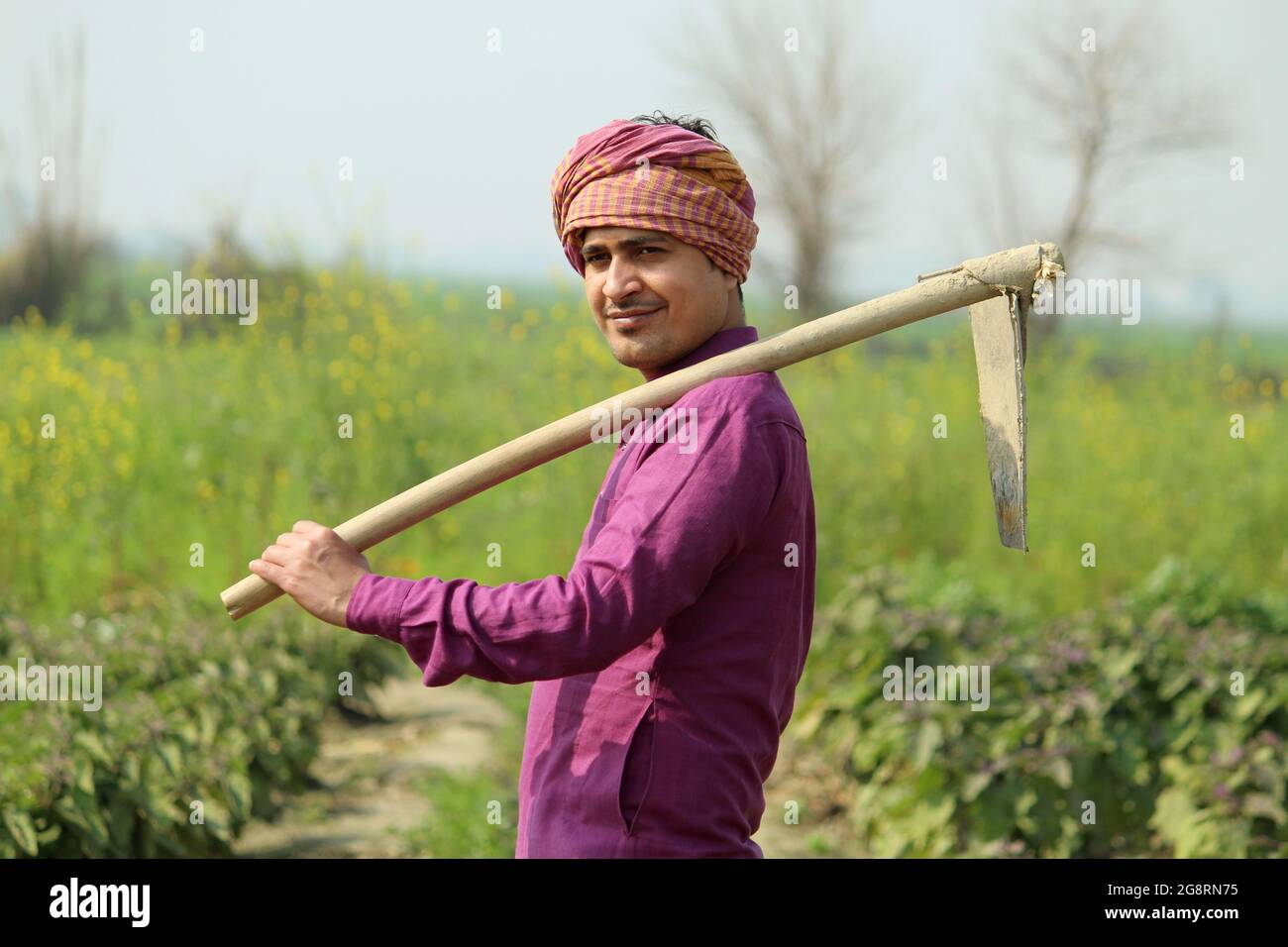 indian farmer standing agricultural field Stock Photo - Alamy