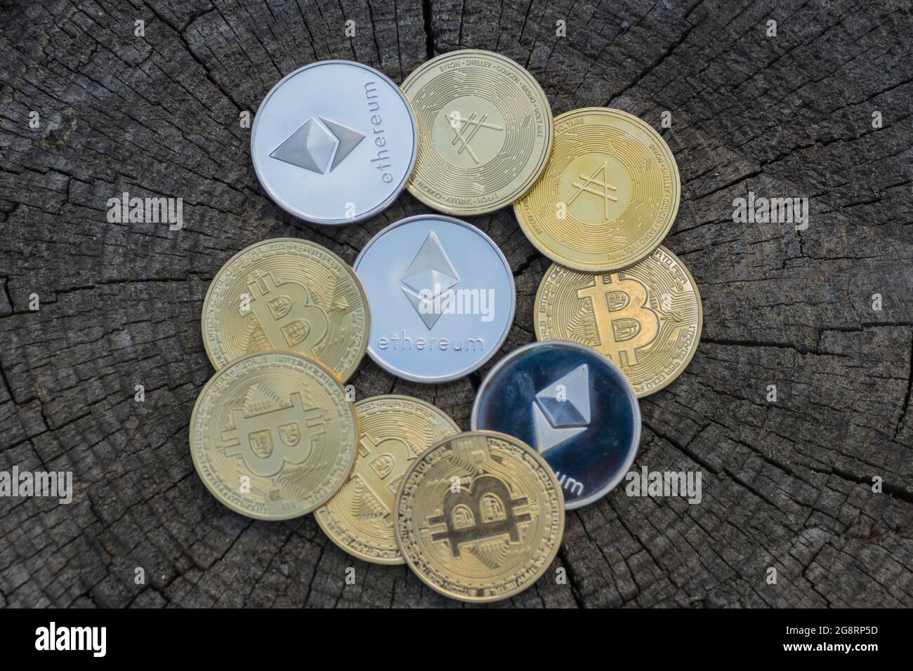 Golden coins money tree vector hi-res stock photography and images - Alamy