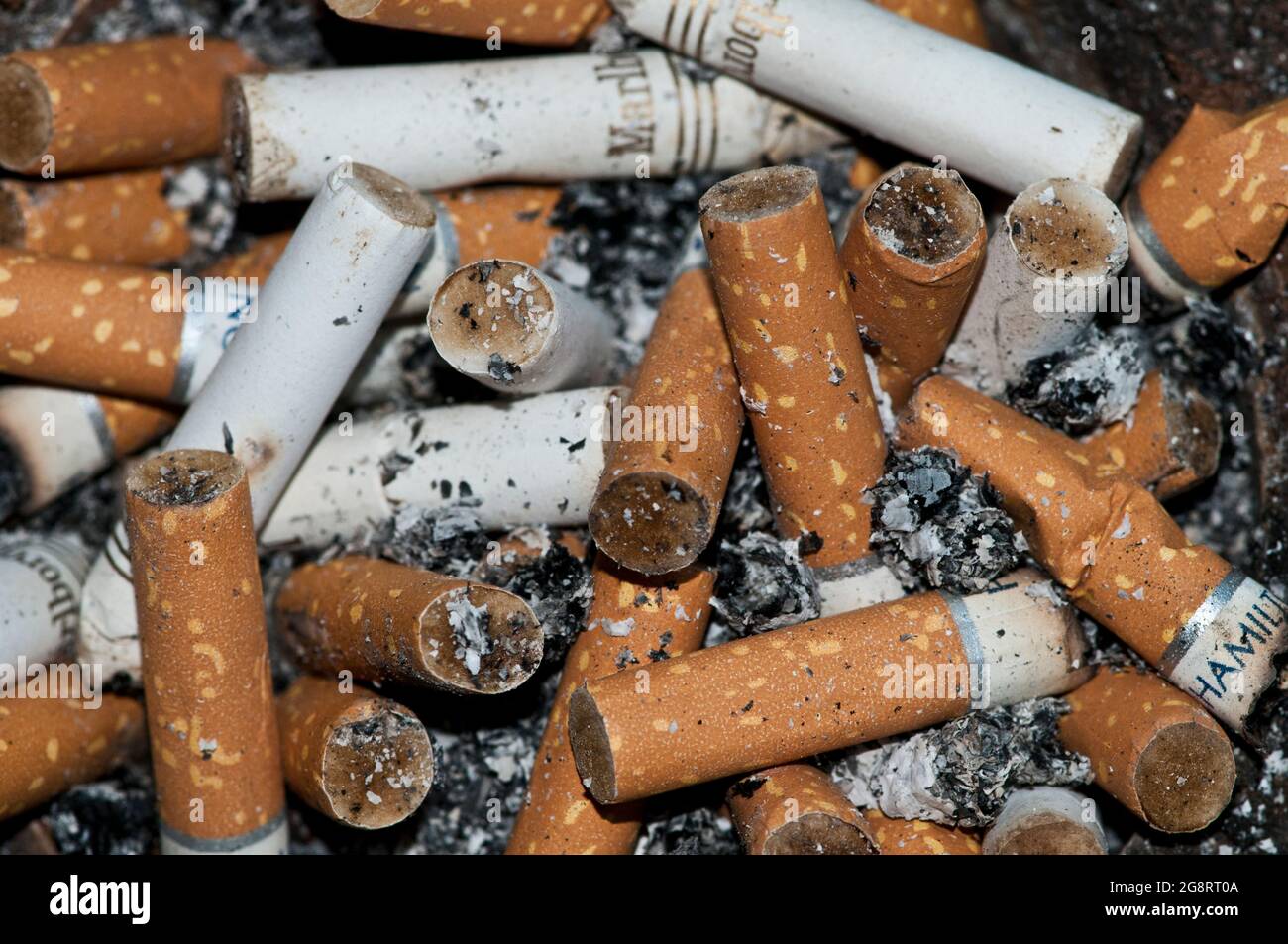 Cigarette butts in an ashtray Stock Photo