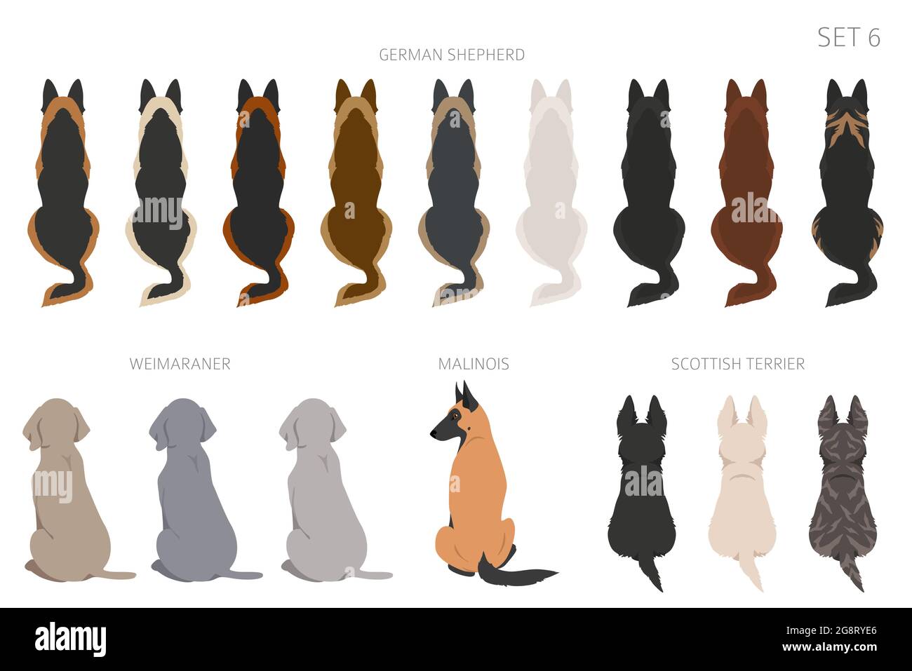 Sitting dogs backside clipart, rear view. Diifferent coat colors ...