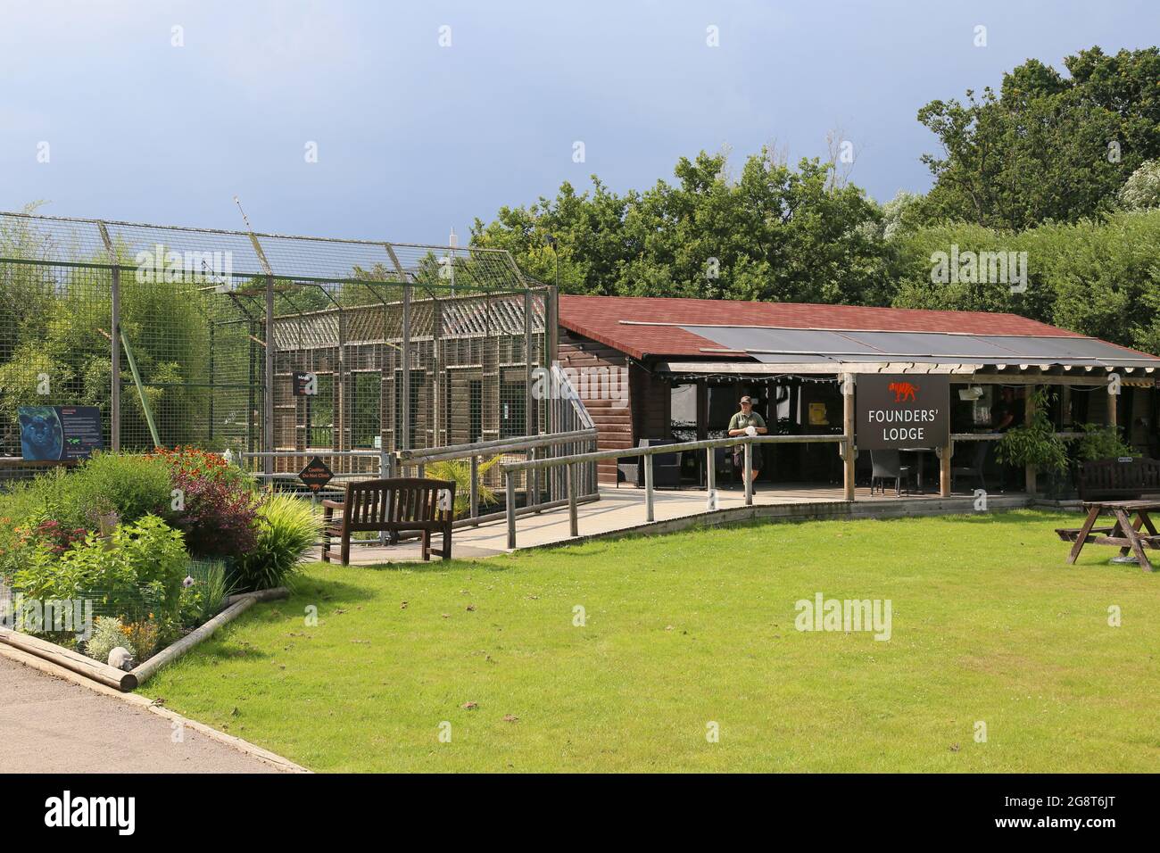 The big cat sanctuary ashford, kent hires stock photography and images