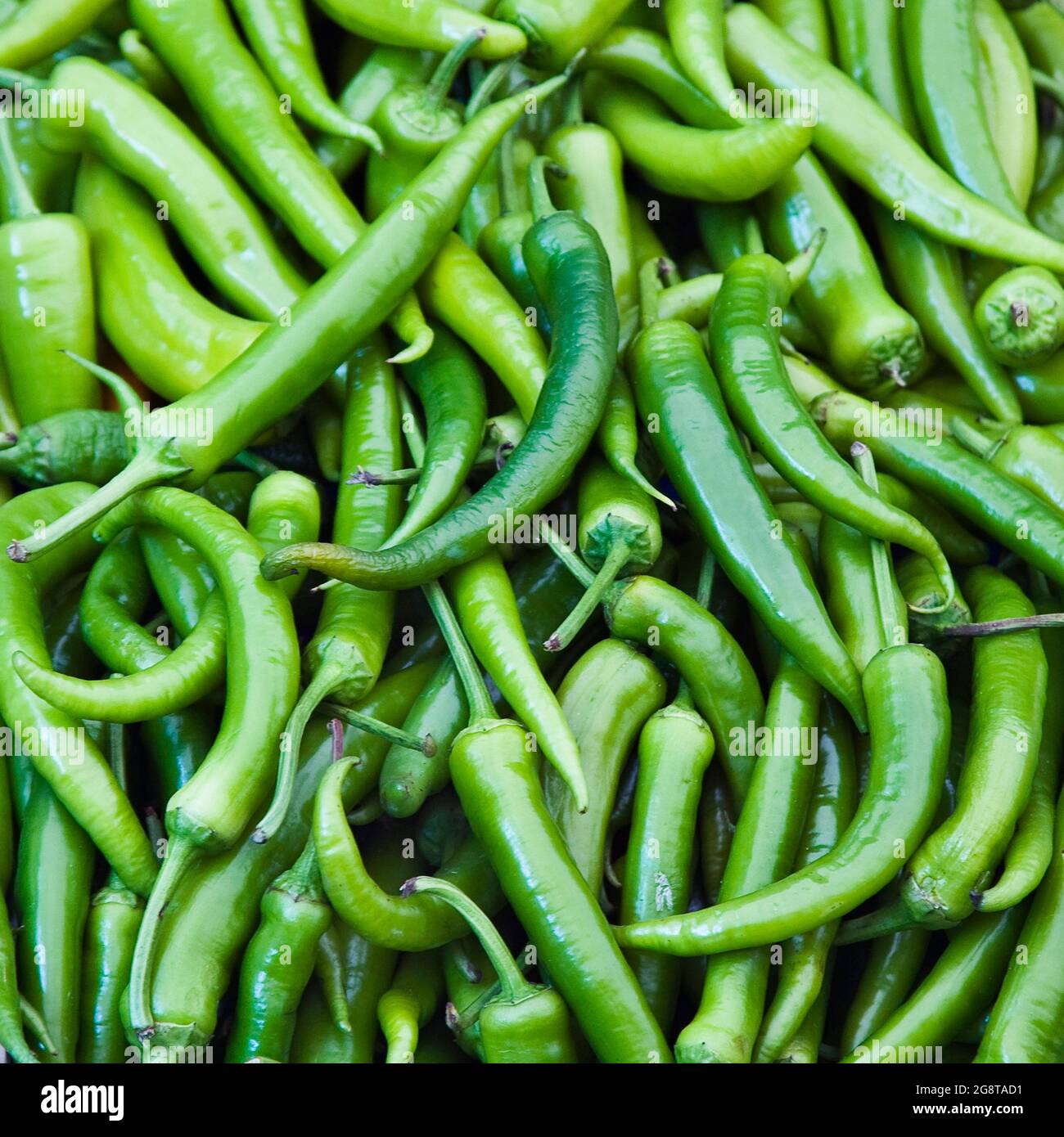 Capsicum spec hires stock photography and images Alamy