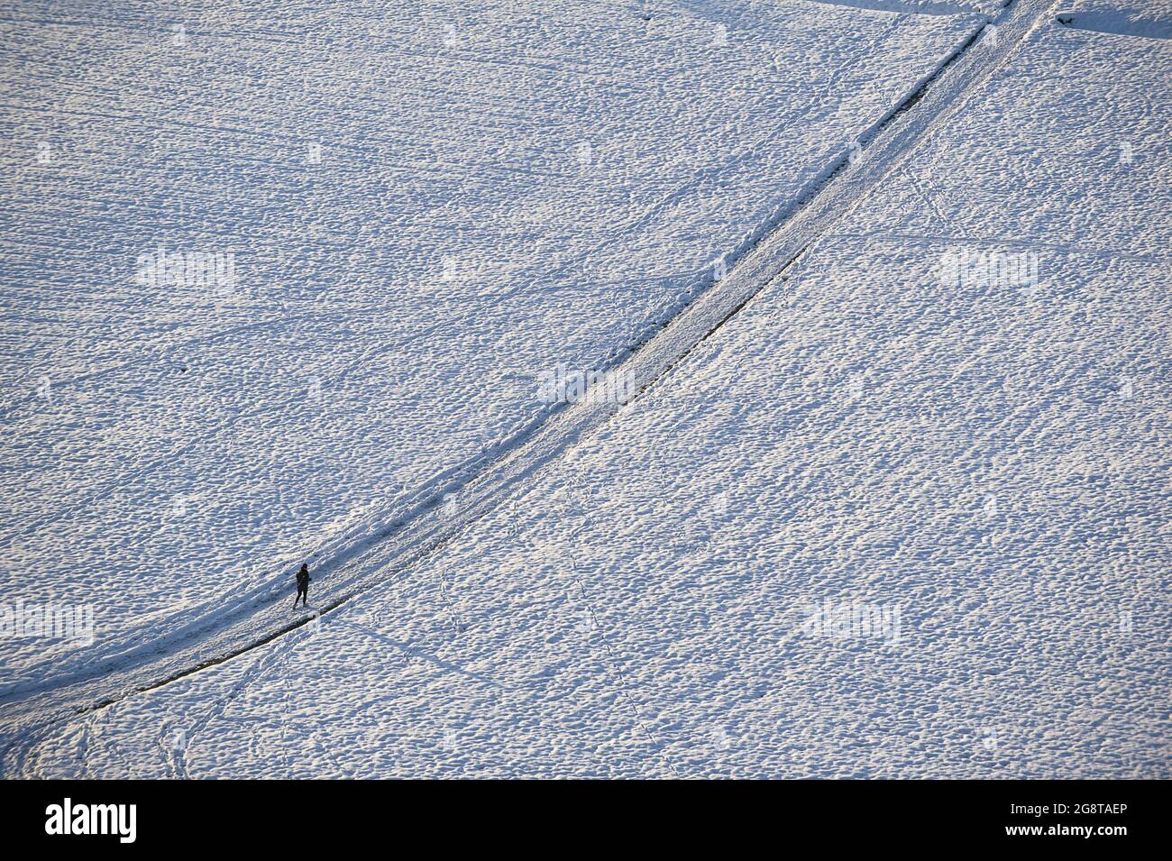 ambler in snowy landscape, Germany Stock Photo