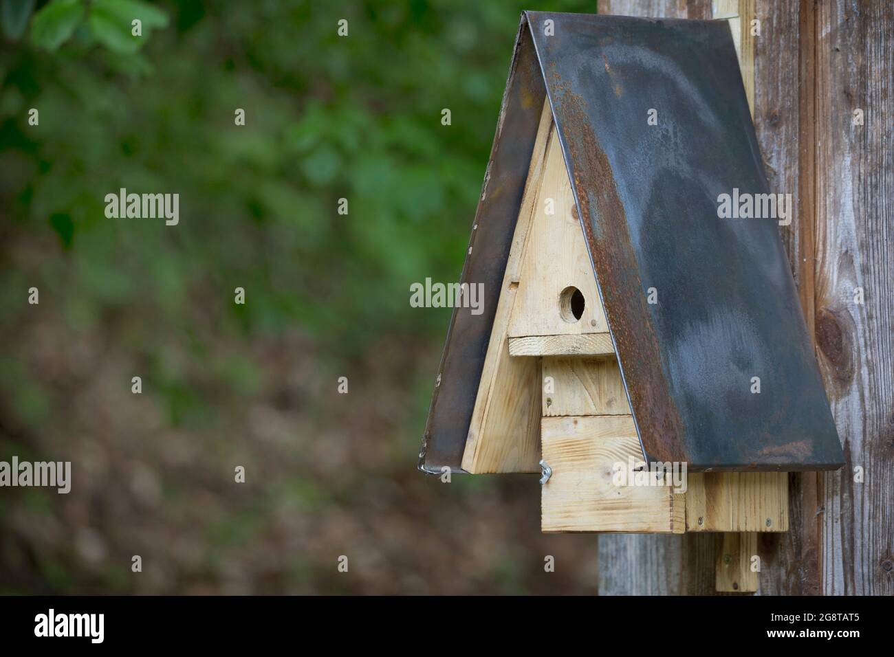 self-made nesting box for birds , Germany Stock Photo