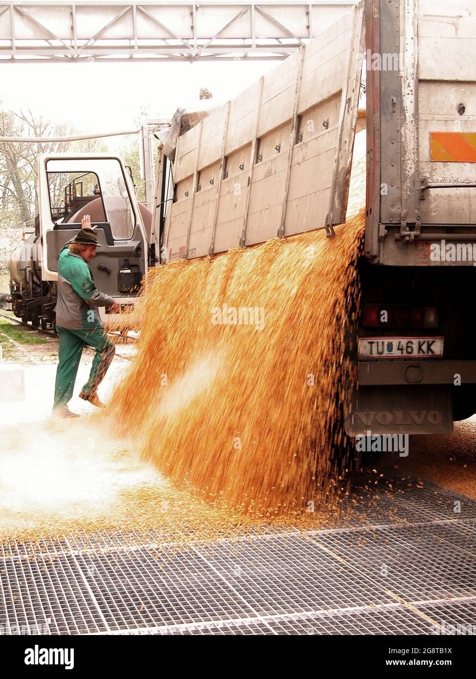 truck driver unloading corn from a truck , Austria, Lower Austria Stock Photo