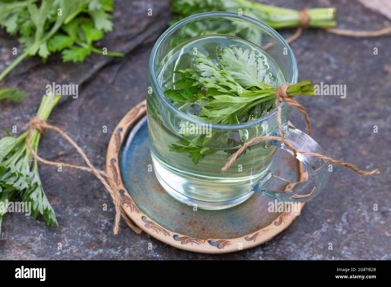 Artemisia vulgaris tea hi-res stock photography and images - Alamy
