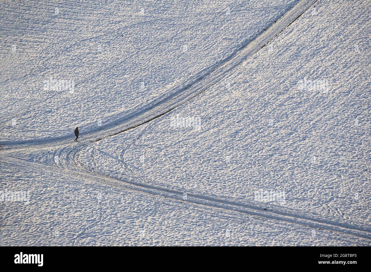 ambler in snowy landscape, Germany Stock Photo