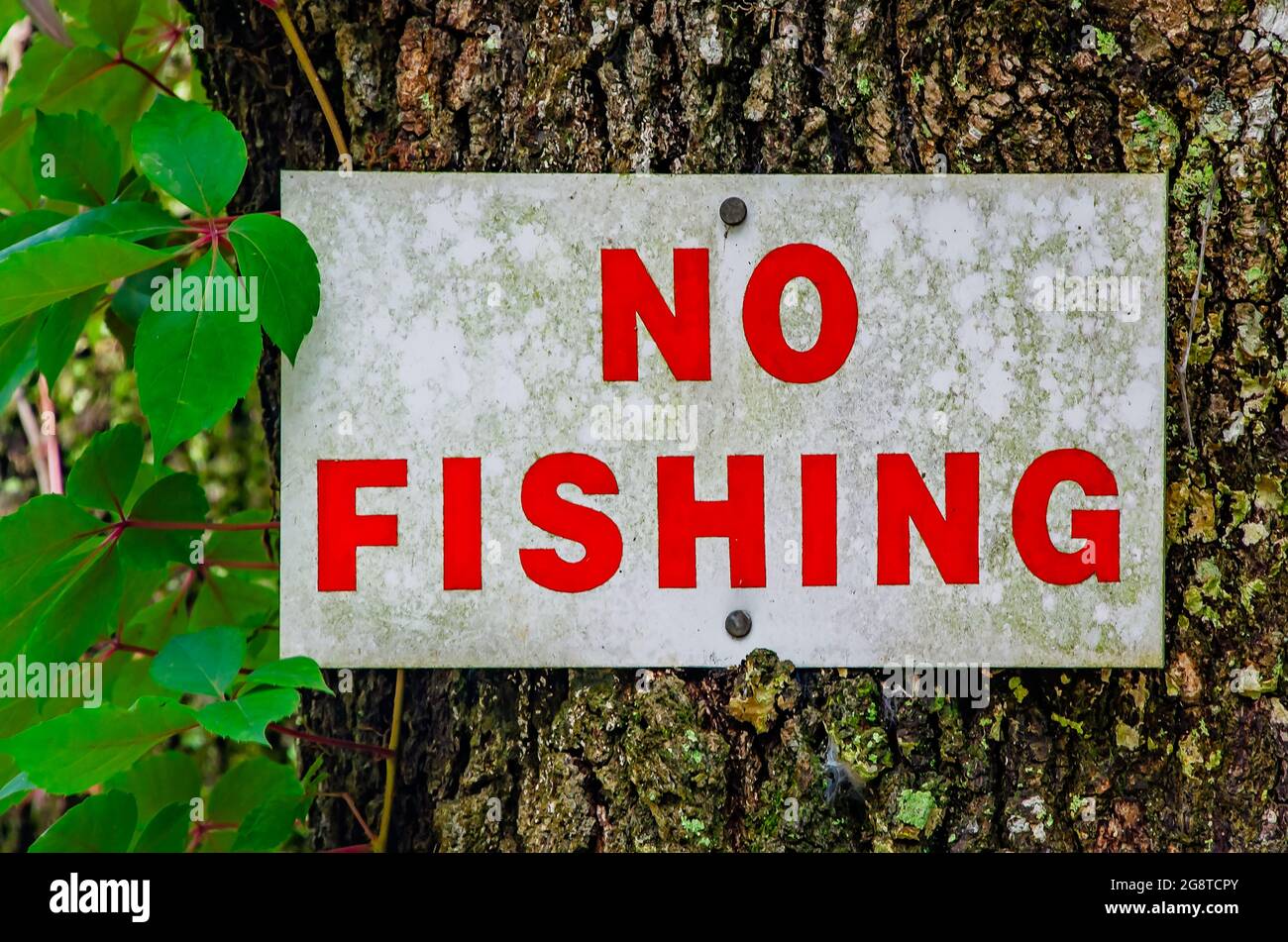 A no fishing sign hangs in the Charles Wood Japanese Garden, July 17, 2021, in Mobile, Alabama. Stock Photo