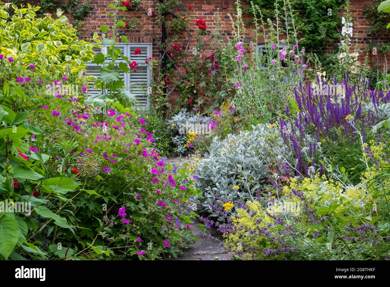 Stunning mix of flowers, photographed in a cottage garden in North