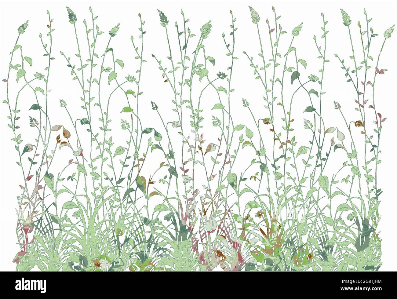 Wildflower Border Stock Photo Alamy