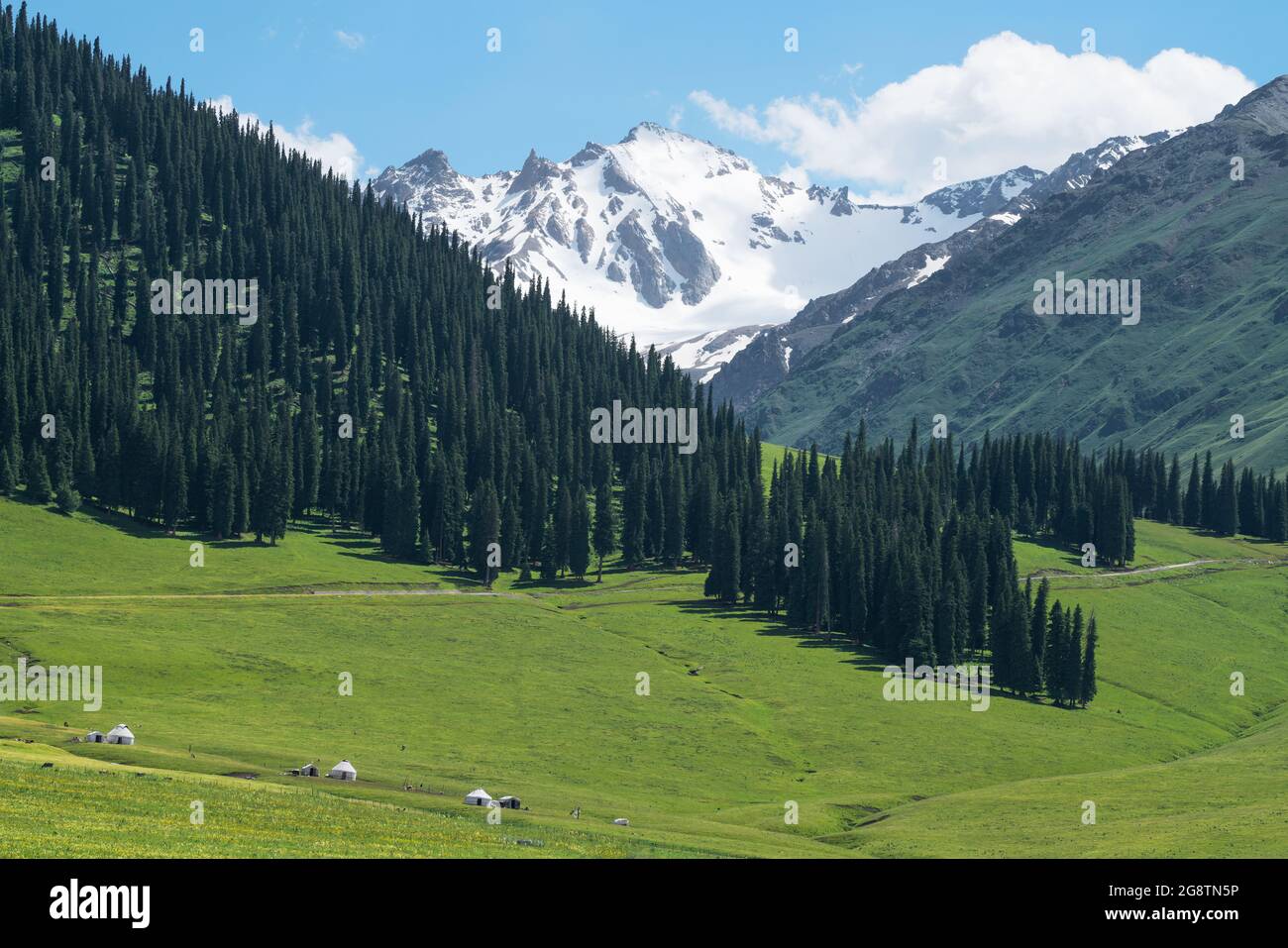 Nalati grassland with the blue sky. Shot in Xinjiang, China. Stock Photo