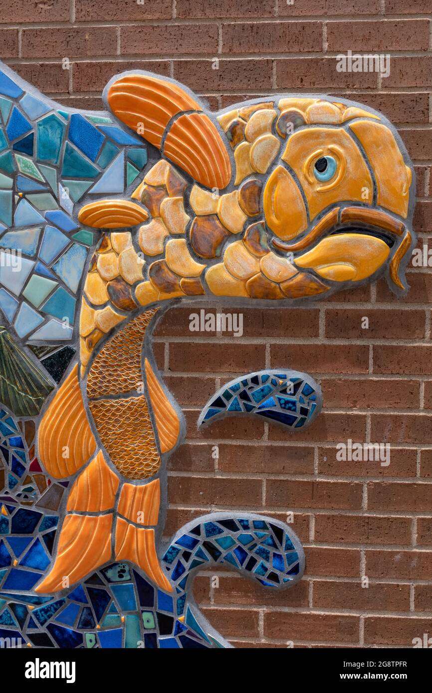 Juan tabo library hires stock photography and images Alamy