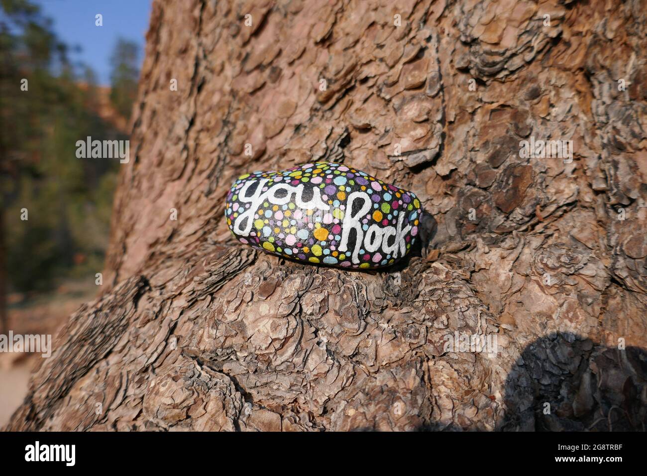 Tree trunk with rough bark and painted kindness rock Stock Photo