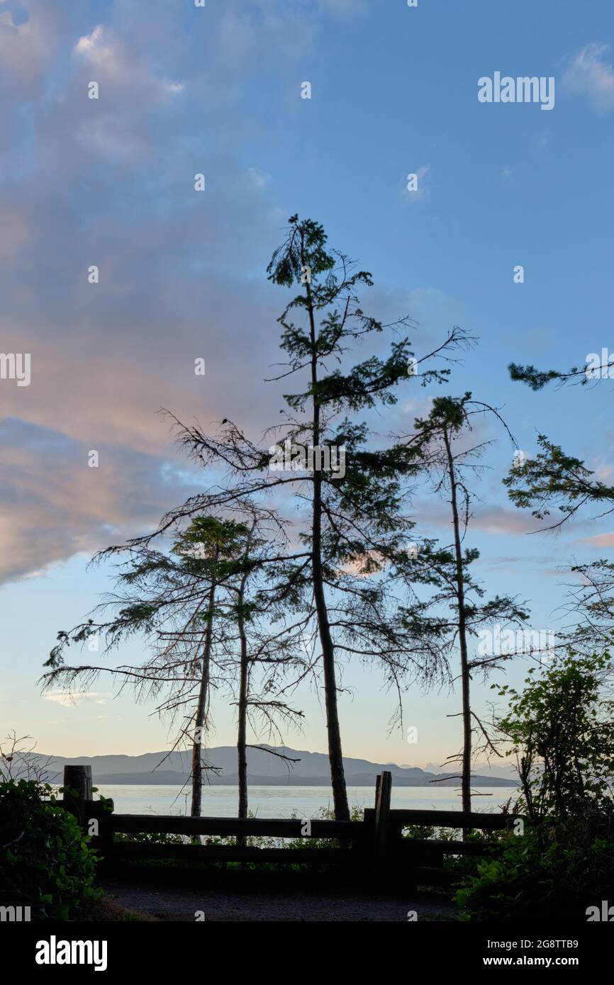 Pink clouds overhead and clear views to Texada and Lasqueti Islands across Georgia Strait, Rathtrevor Provincial Park, BC Stock Photo