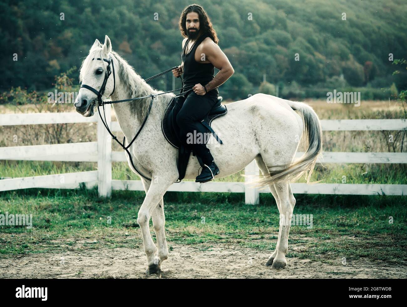 Full length of young handsome man sitting on his white stallion at the country side. Man equestrian on his horse riding at nature. Attractive man Stock Photo