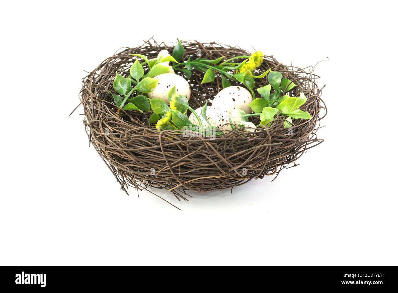 bird nest isolated on white background Stock Photo - Alamy