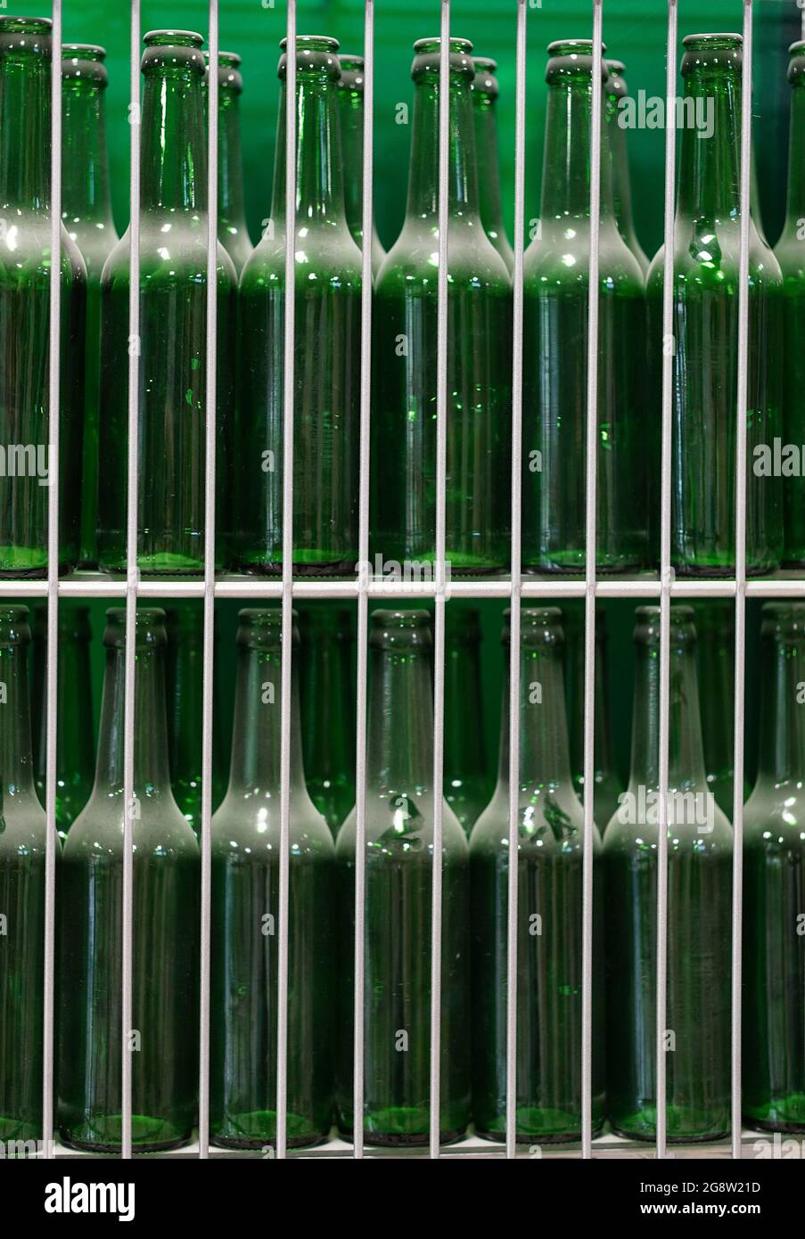 Many of transparent green dusty beer glass bottles into row, close up. Glass bottle texture.. Stock Photo