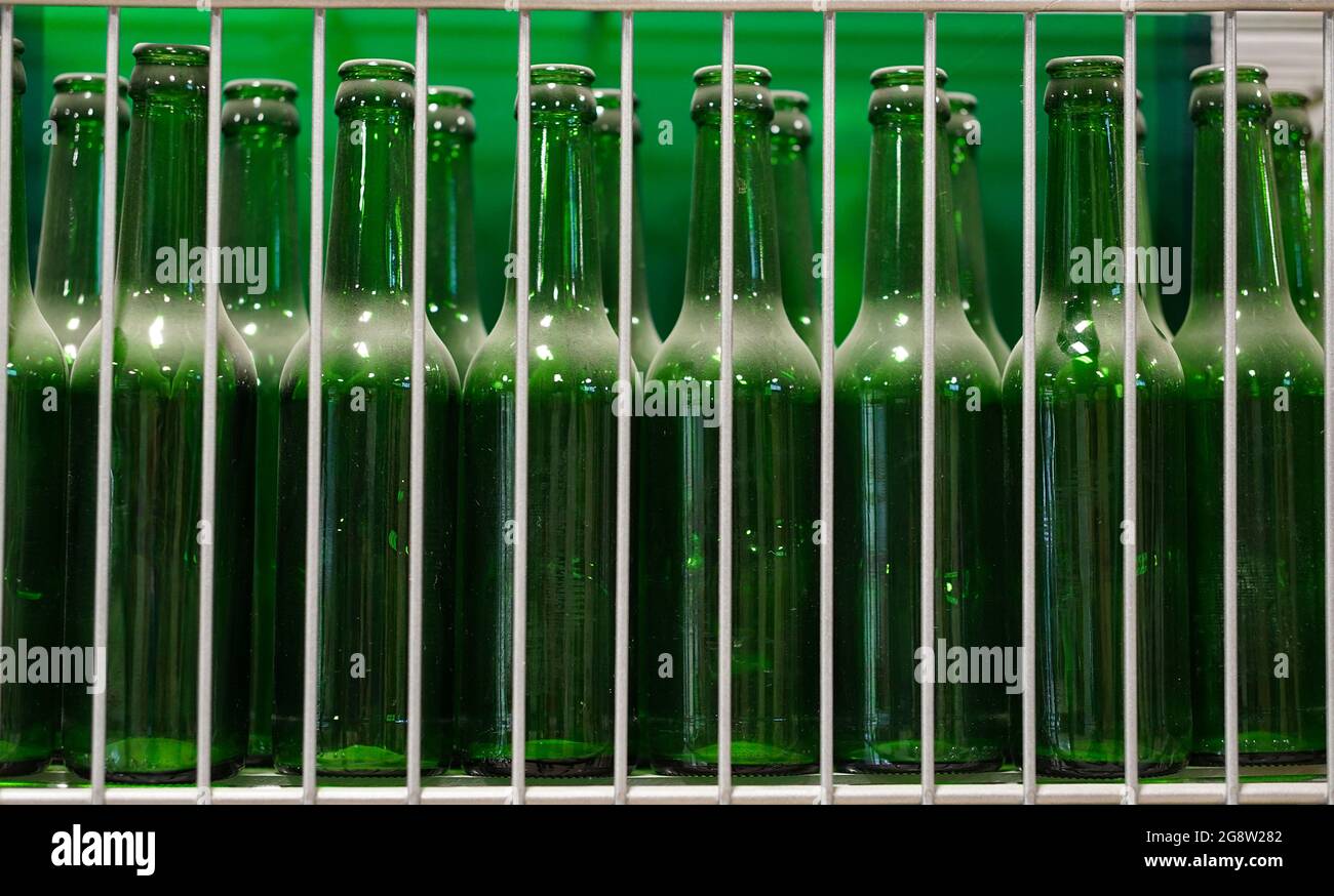 Many of transparent green dusty beer glass bottles into row, close up. Glass bottle texture.. Stock Photo