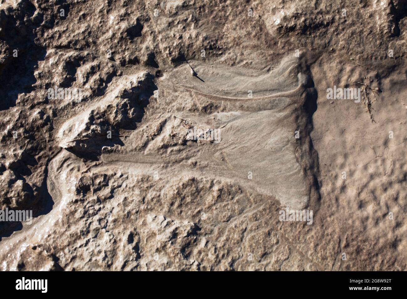 Microscale geographical features in silt after a river flood. The landscape looks like