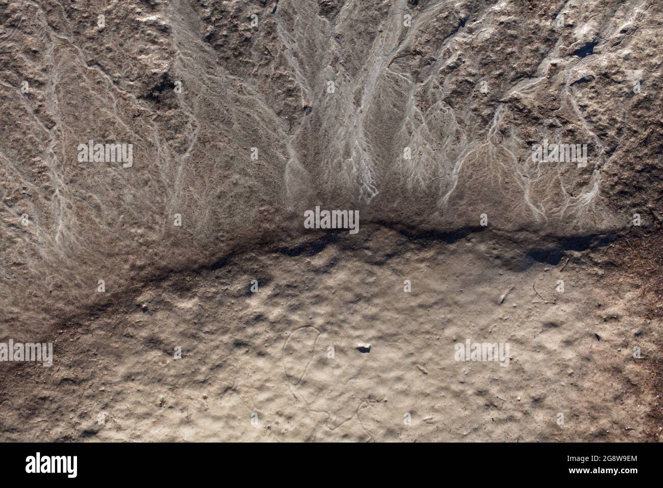 Microscale geographical features in silt after a river flood. The landscape looks like