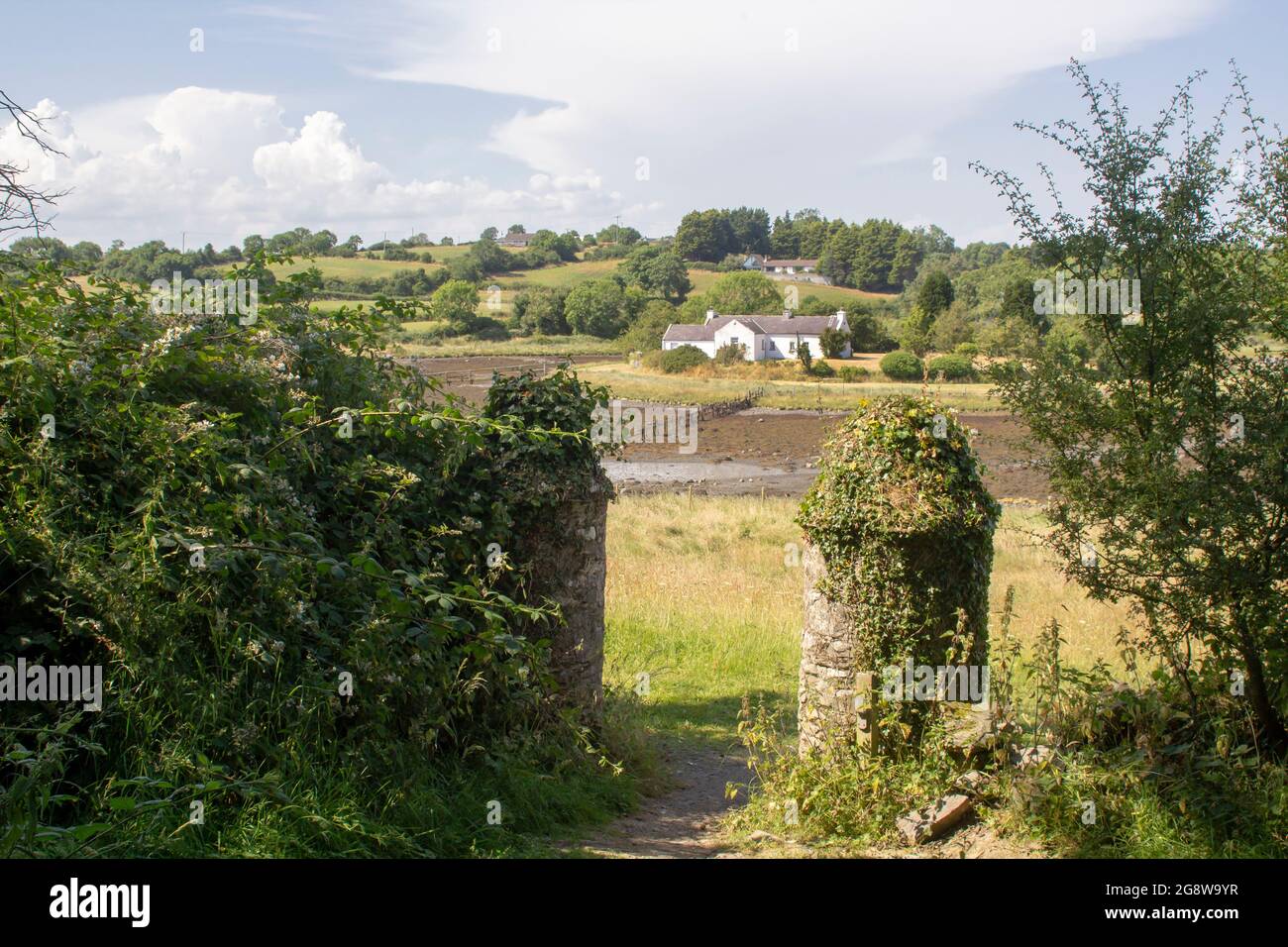 21 July 2021 A beautiful white bungalow at Gibbs Island near Dellamont Country Park Killyleagh County Down Northern Ireland viewed from old stone pill Stock Photo