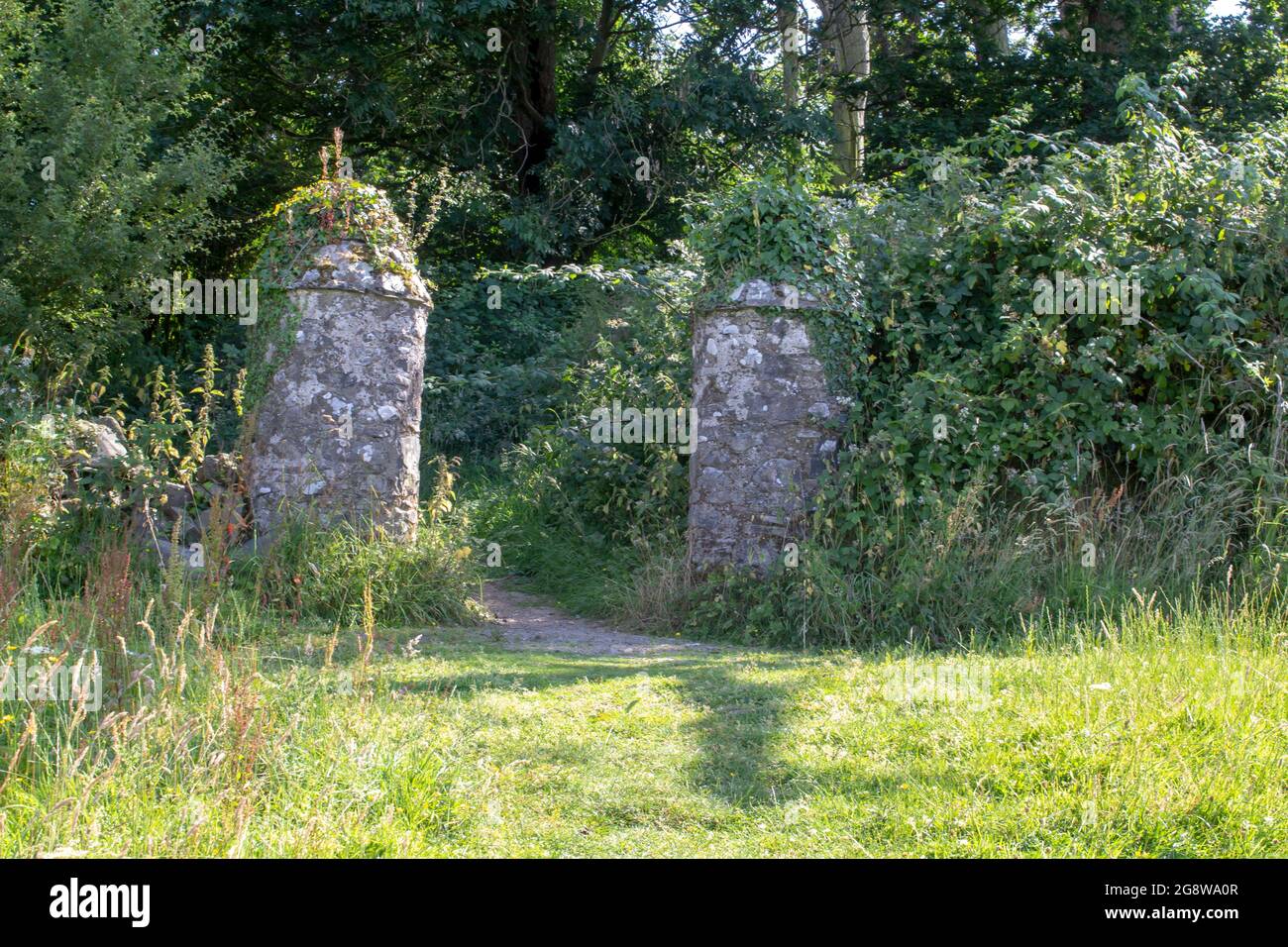 21 July 2021 A pair of old stone pillarson the edge of a wood at the Naitional Trust site of Gibbs Island near Dellamont Country Park Killyleagh Count Stock Photo