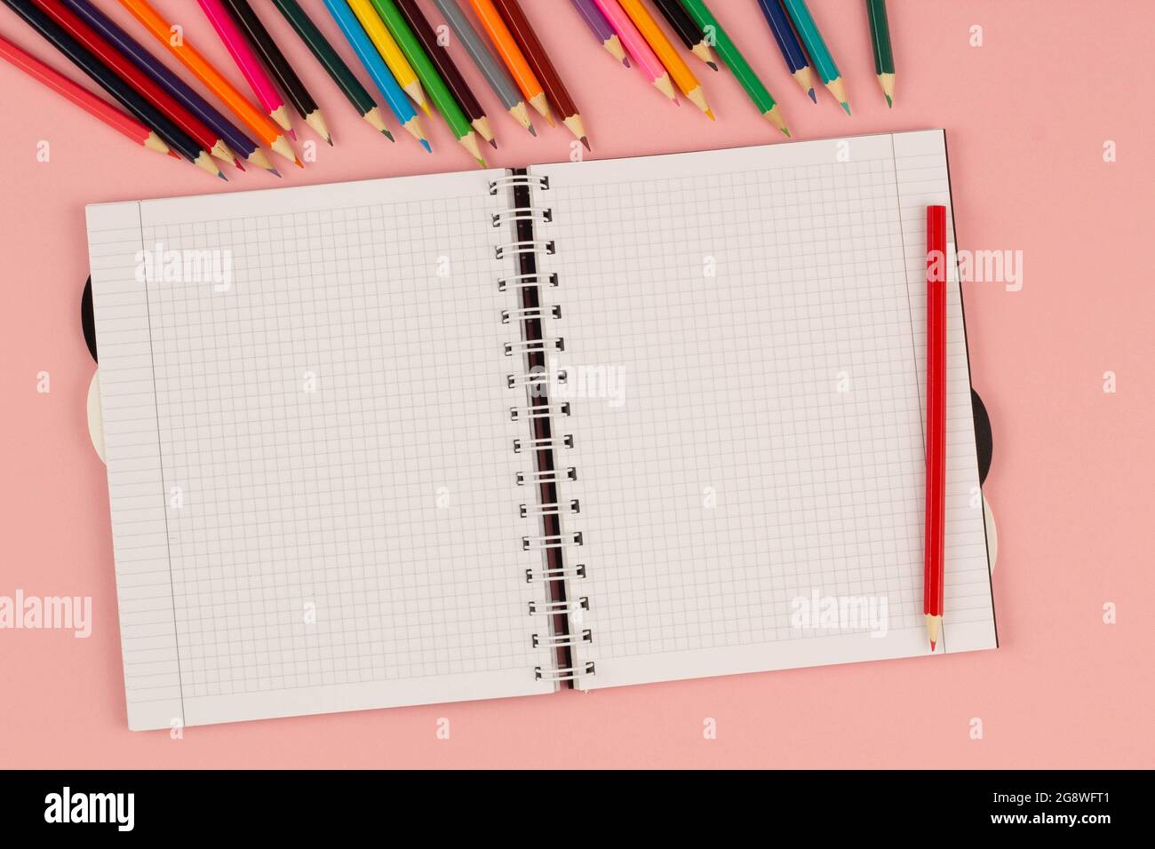 School supplies of pink and white colors on a pink background