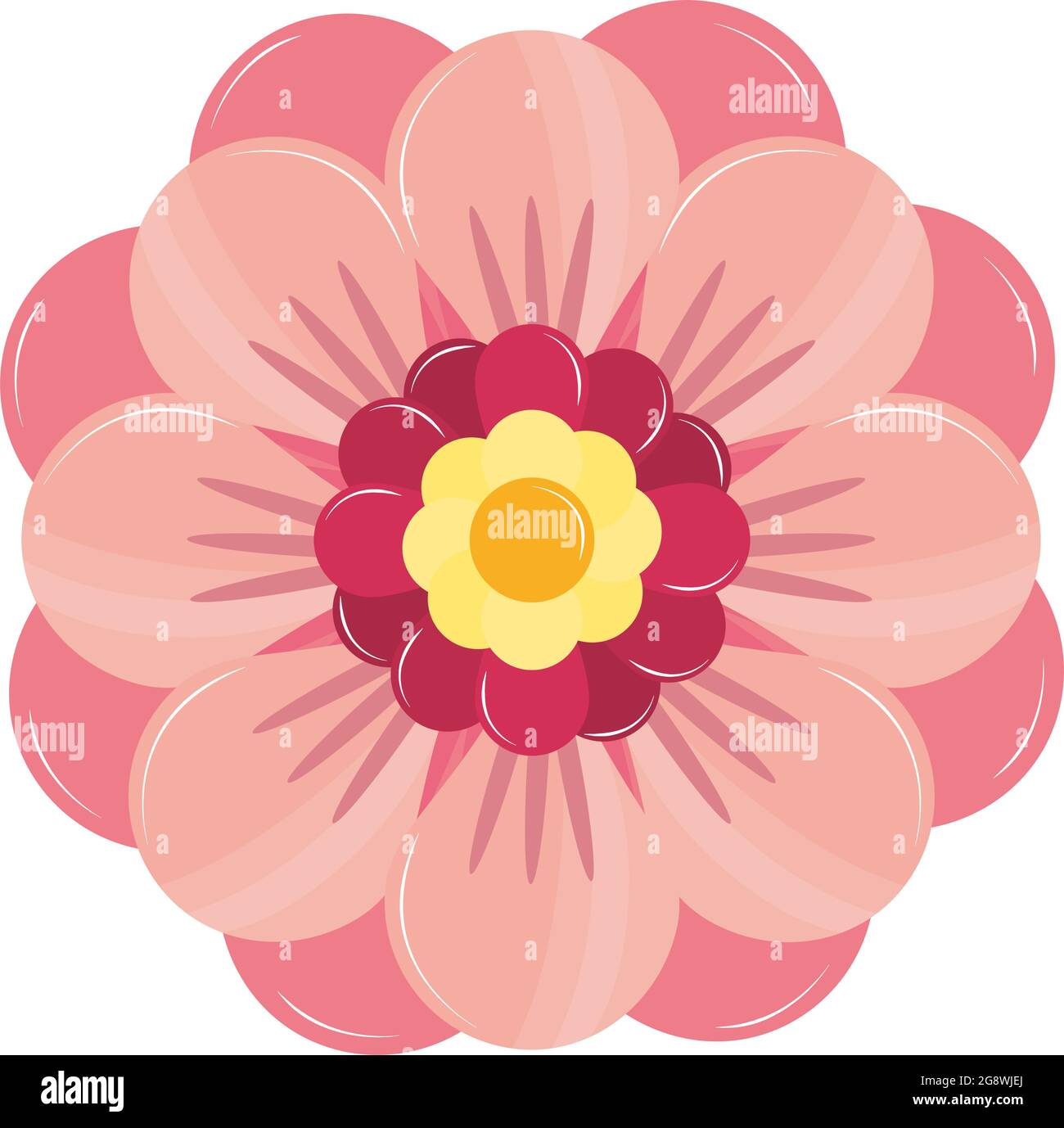 natural flower petal Stock Vector Image & Art - Alamy