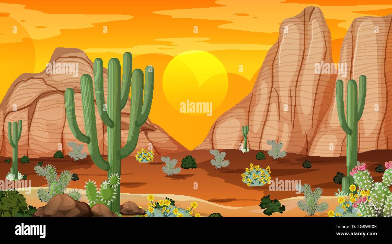 Desert forest landscape at sunset time scene with many cactuses ...